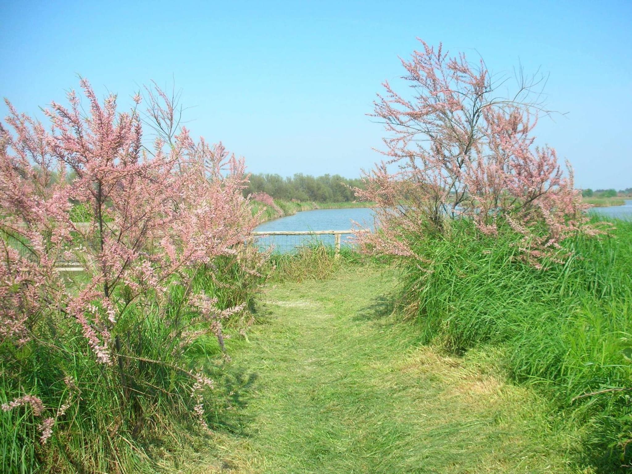 Hotel Rurale Canneviè photo 6