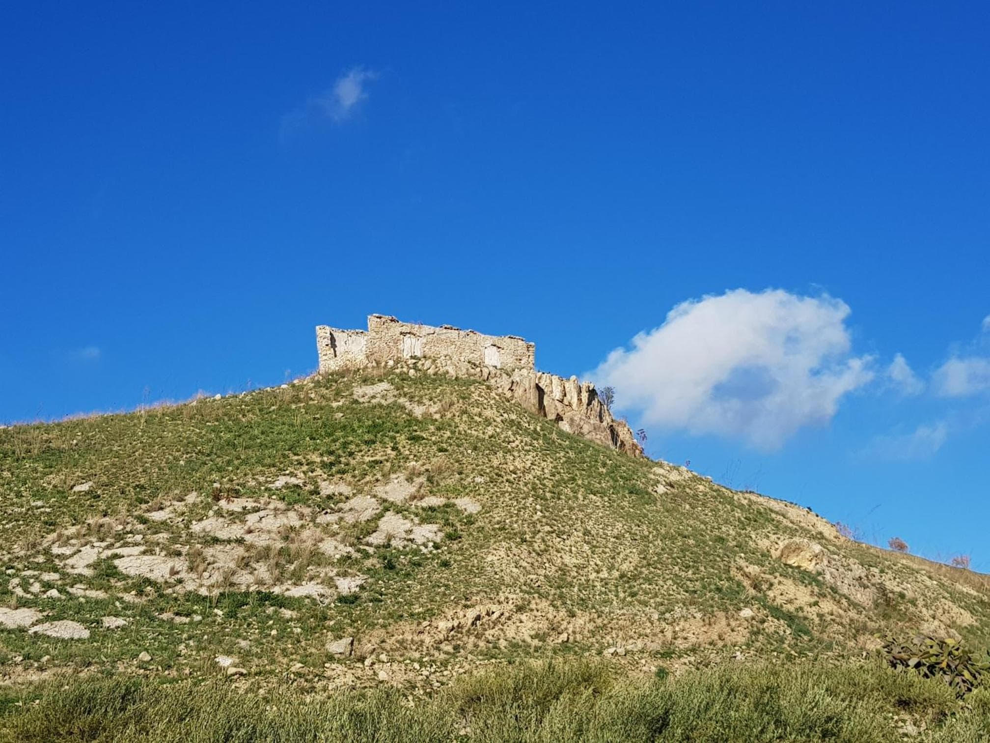 Terra Nostra photo 8