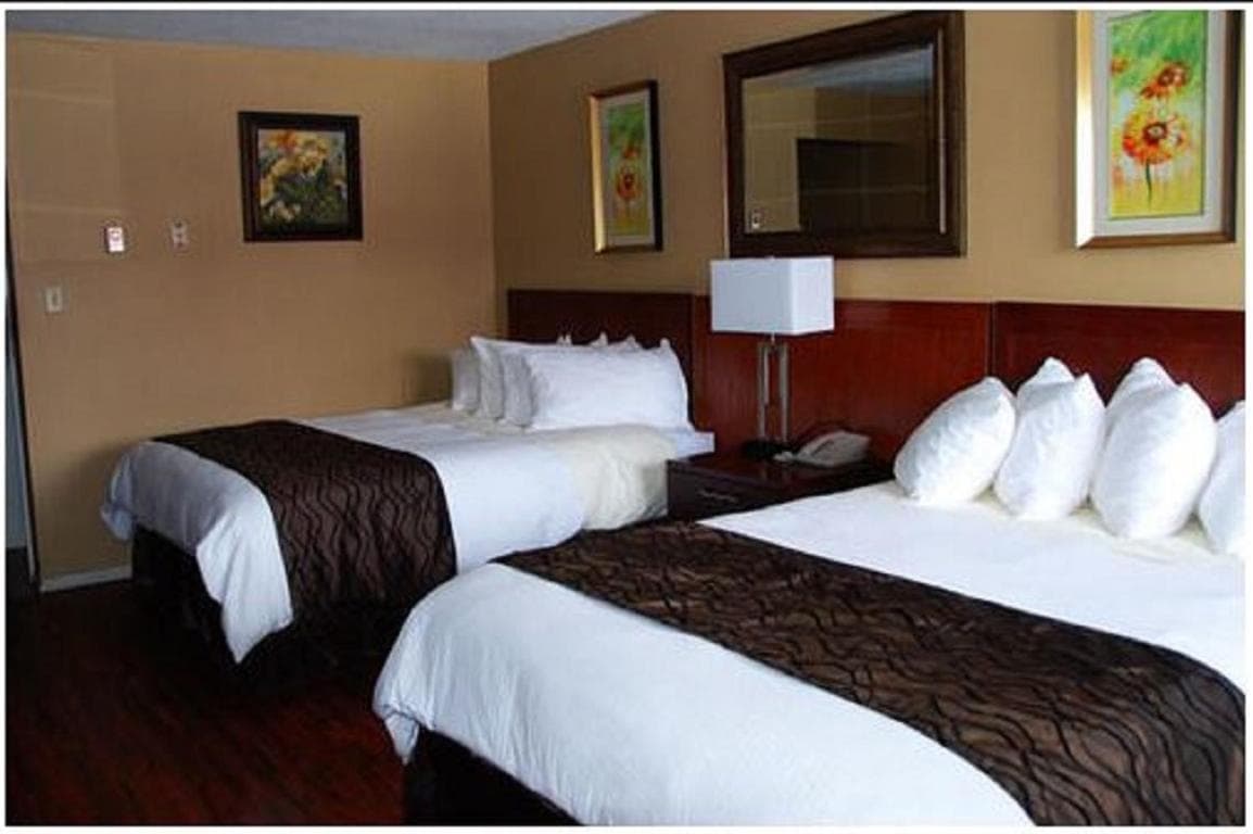 Best Lodge Motel photo 7