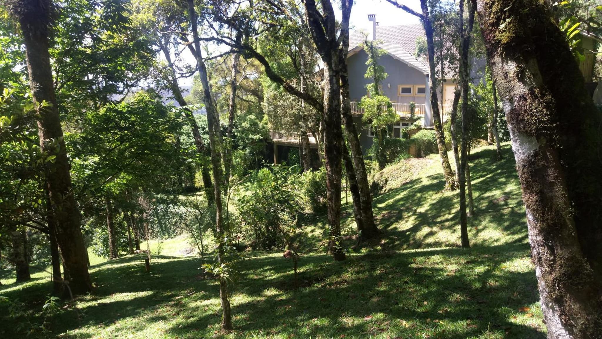 Villa Coração Guesthouse by Concavus photo 8
