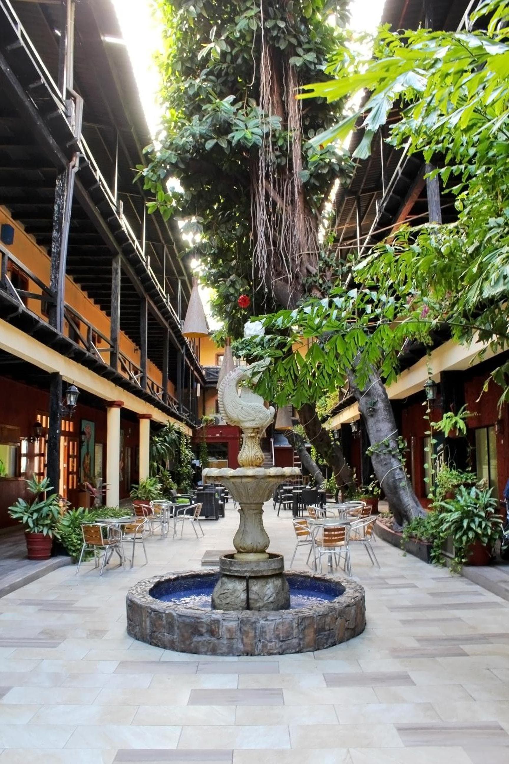 Hotel La Siesta Malecón photo 3