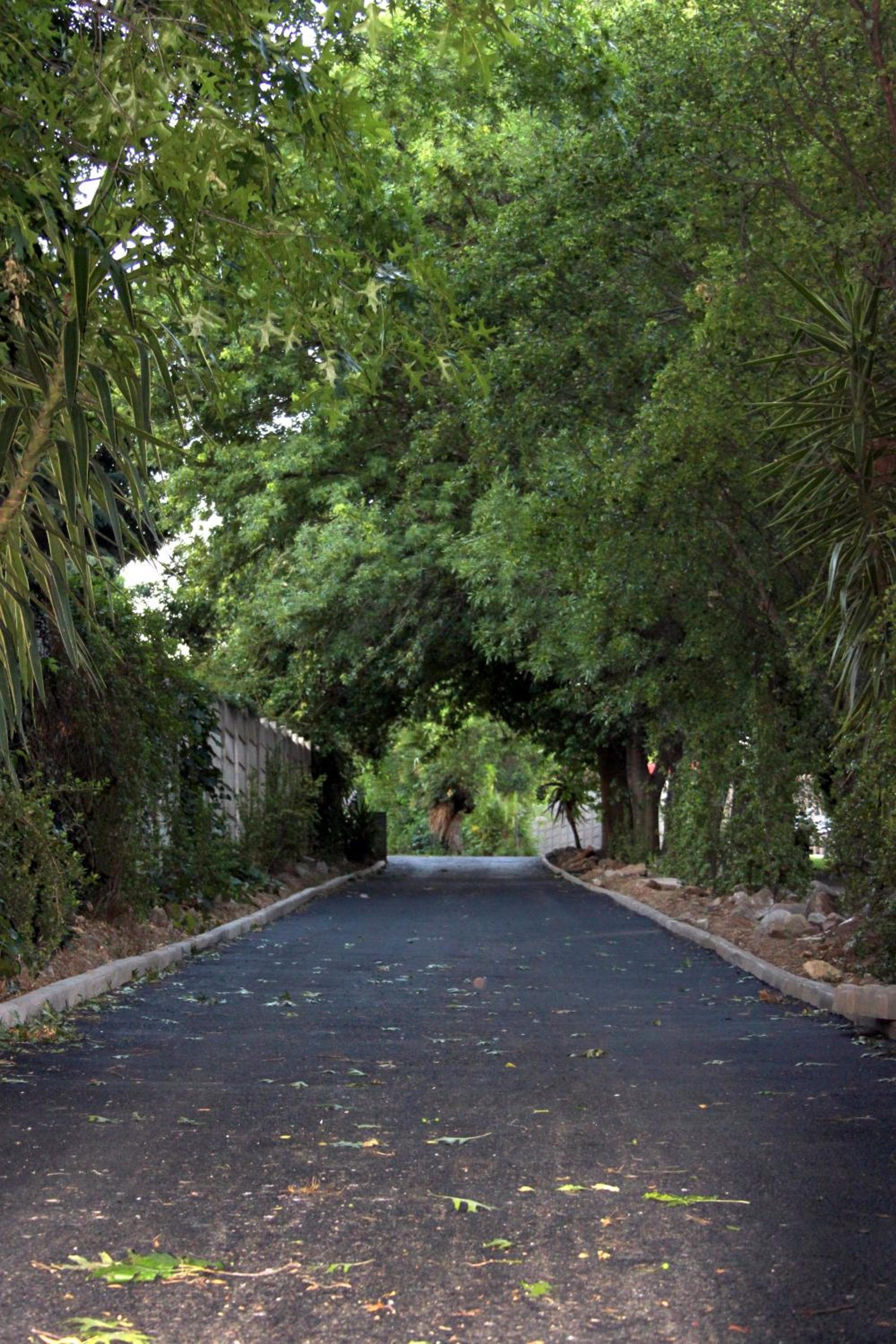 Vanilla Guesthouse photo 4