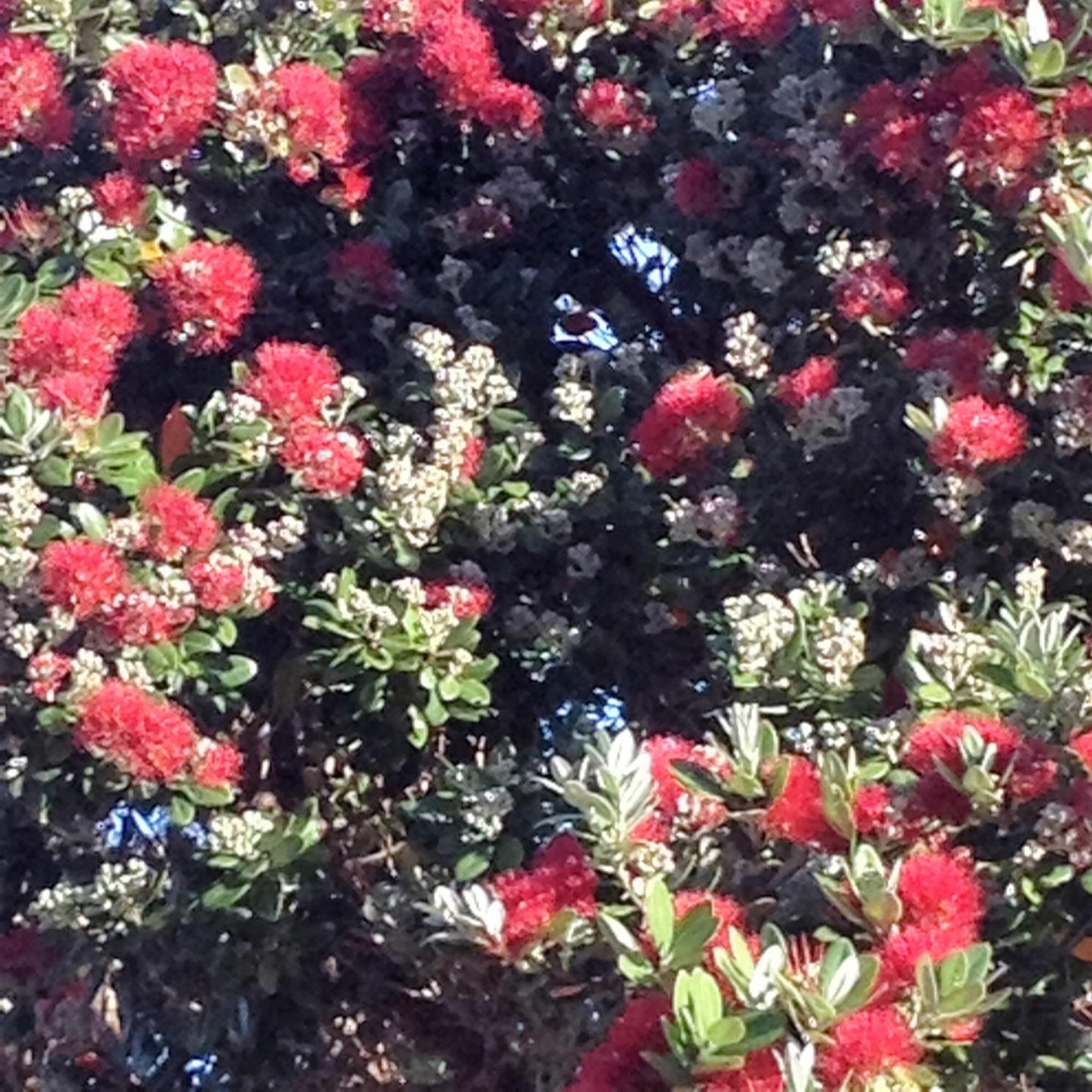 Seaport Village photo 7