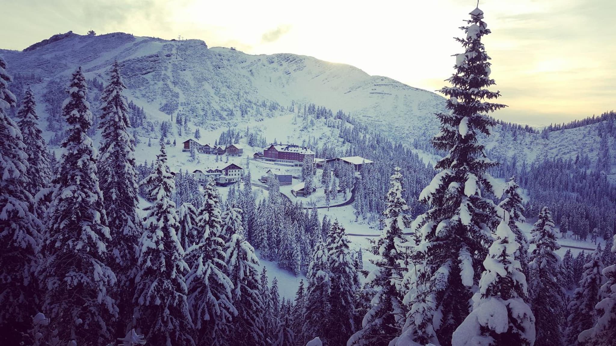 JoSchi Almhütte Hochkar photo 9