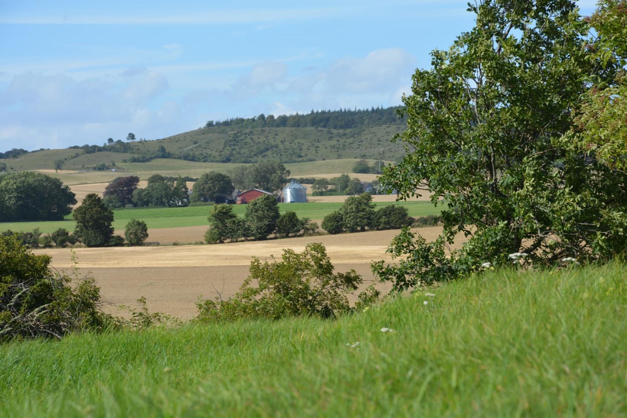 Havehøjegaard photo 6