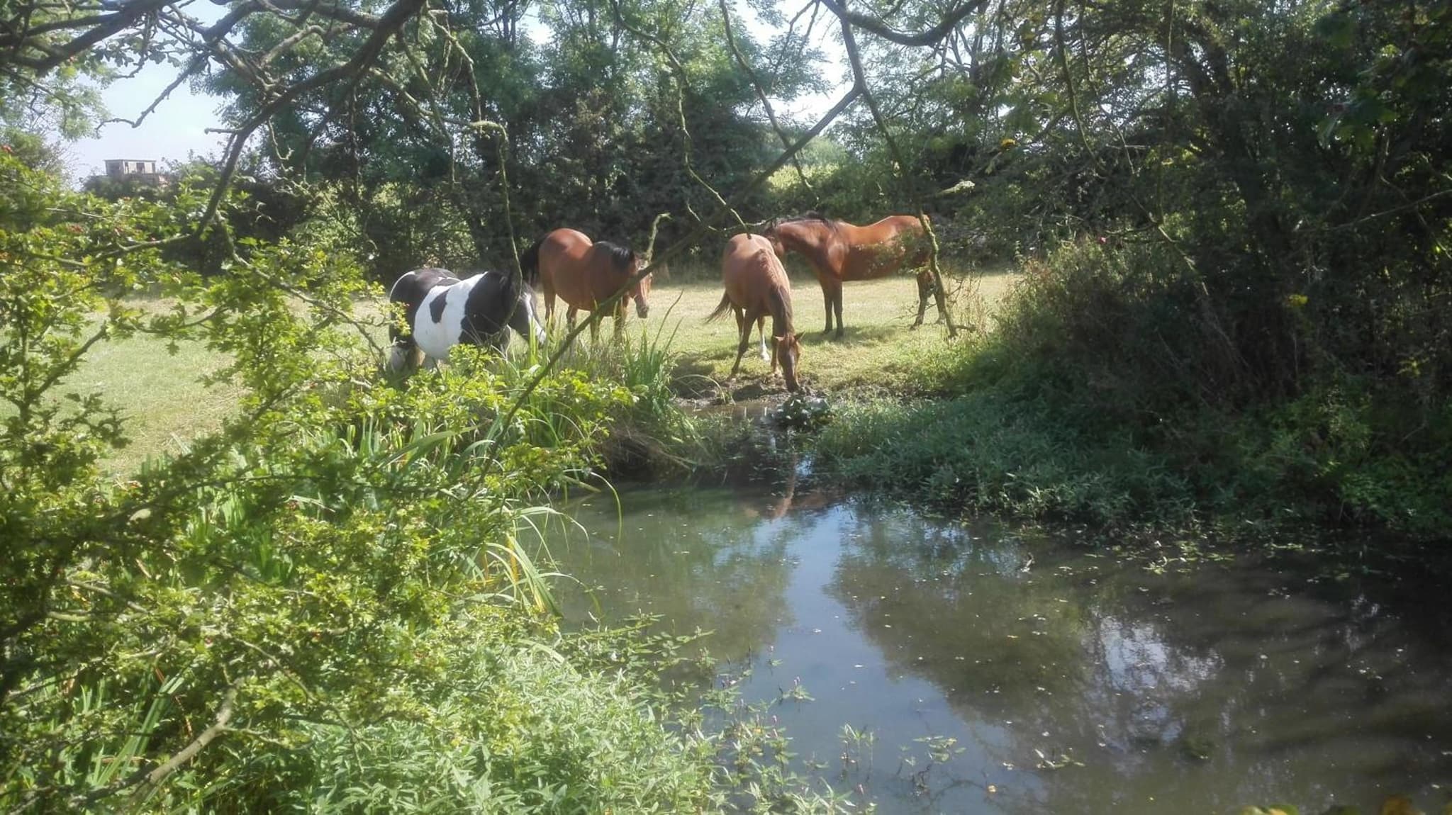 Brampton Dales Farm photo 2