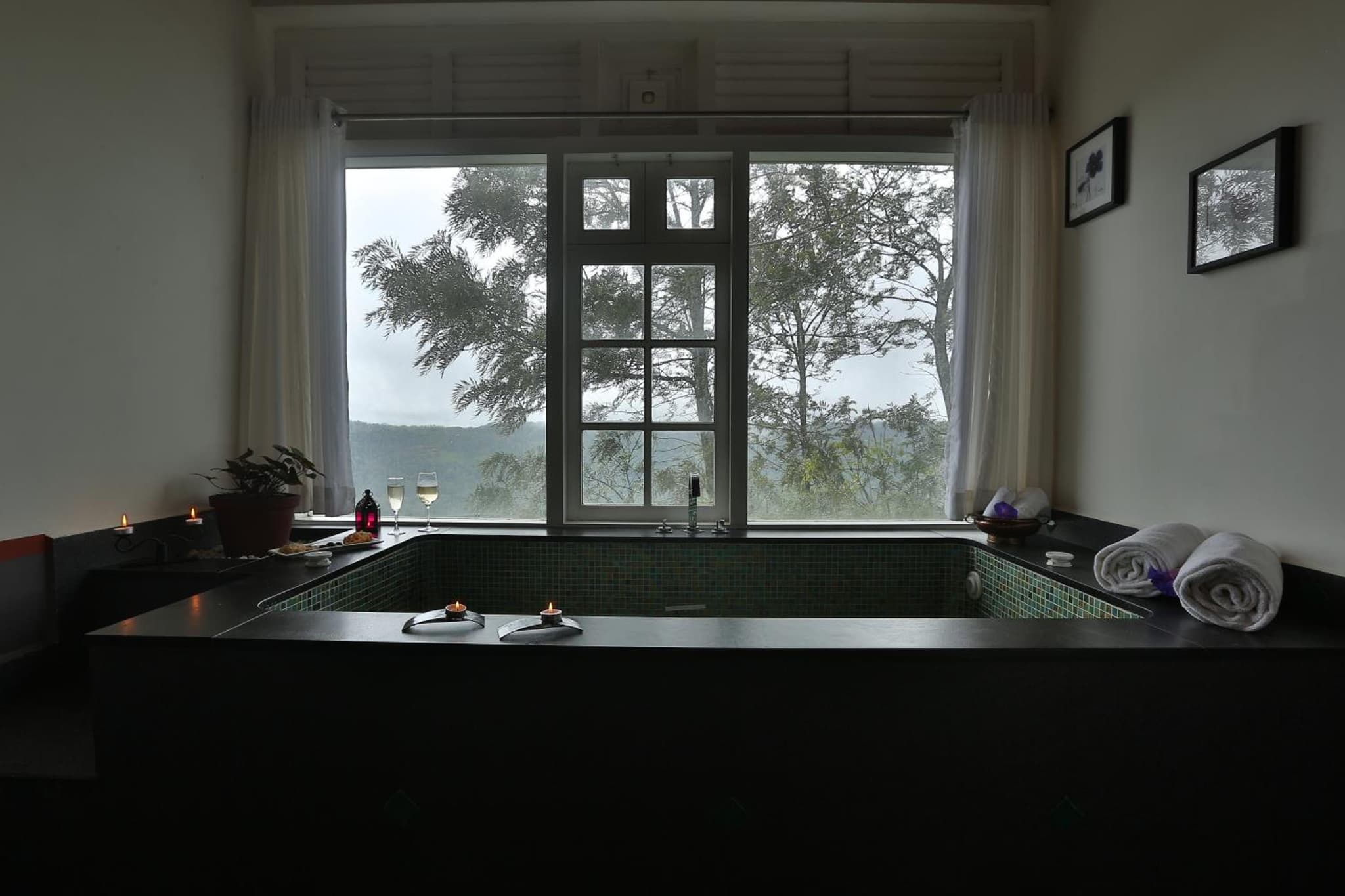 SpiceTree Munnar photo 6