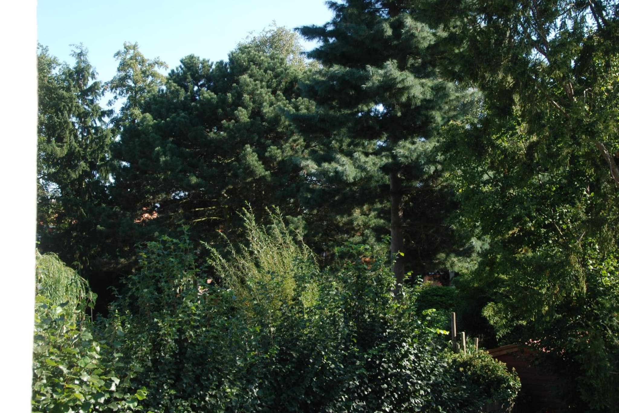 B&B Garden55 photo 5