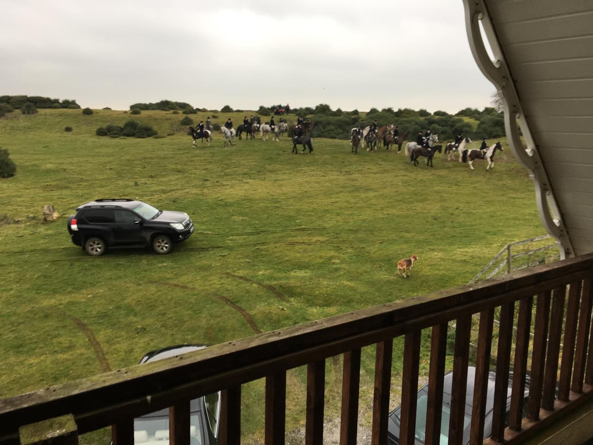 The Curragh Country House Accommodation photo 2