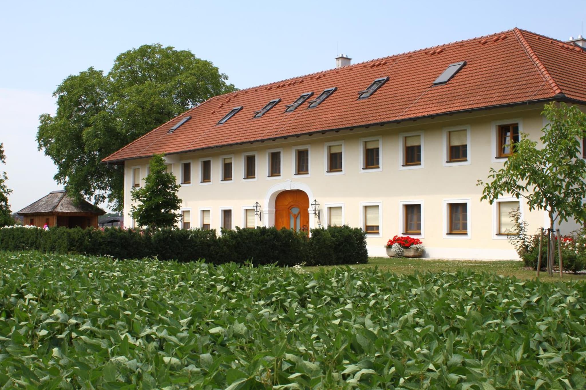Frühstückspension Herzog zu Laah photo 2