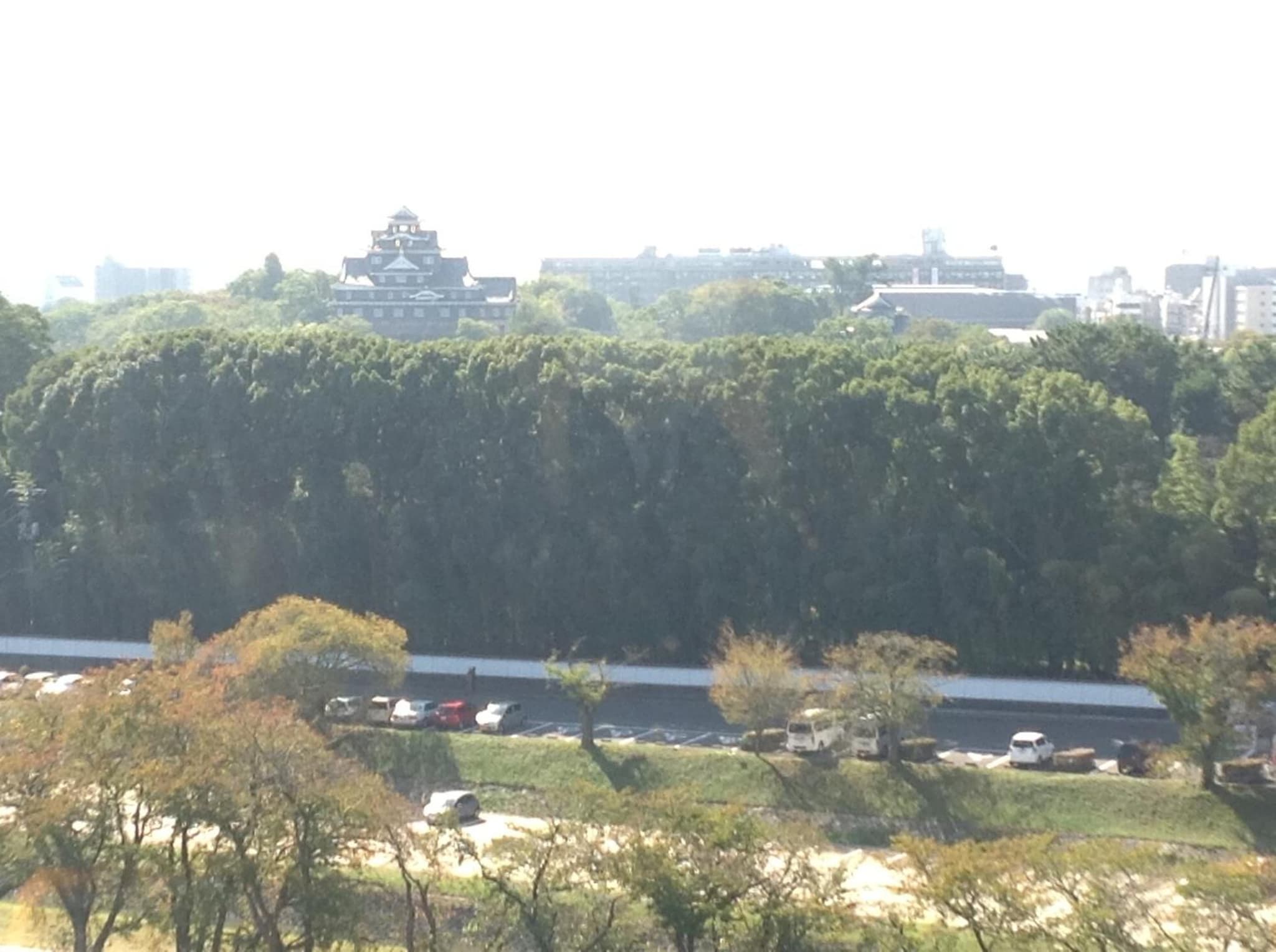 Okayama Plaza Hotel photo 8