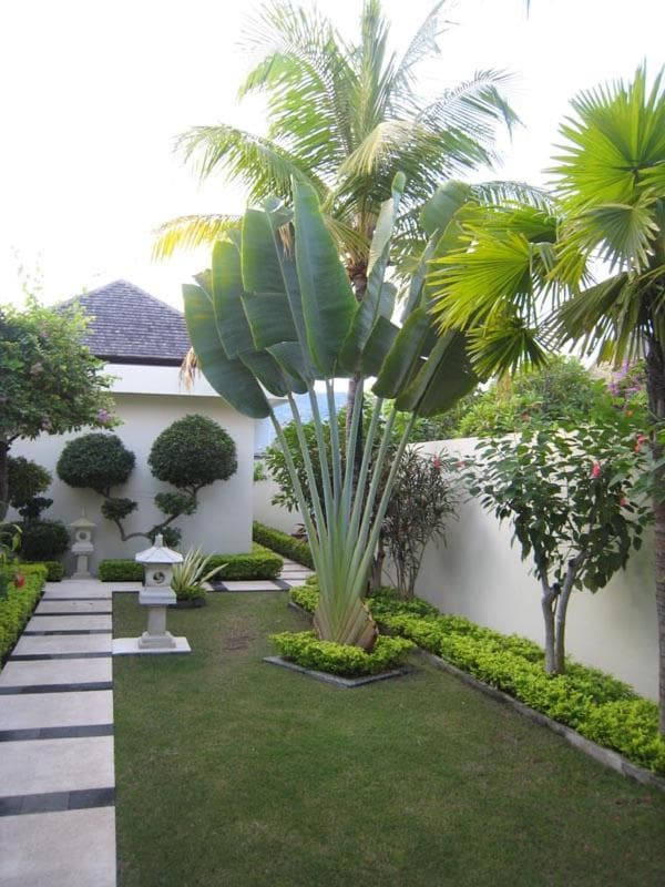 Frangipani Beach Hotel photo 8
