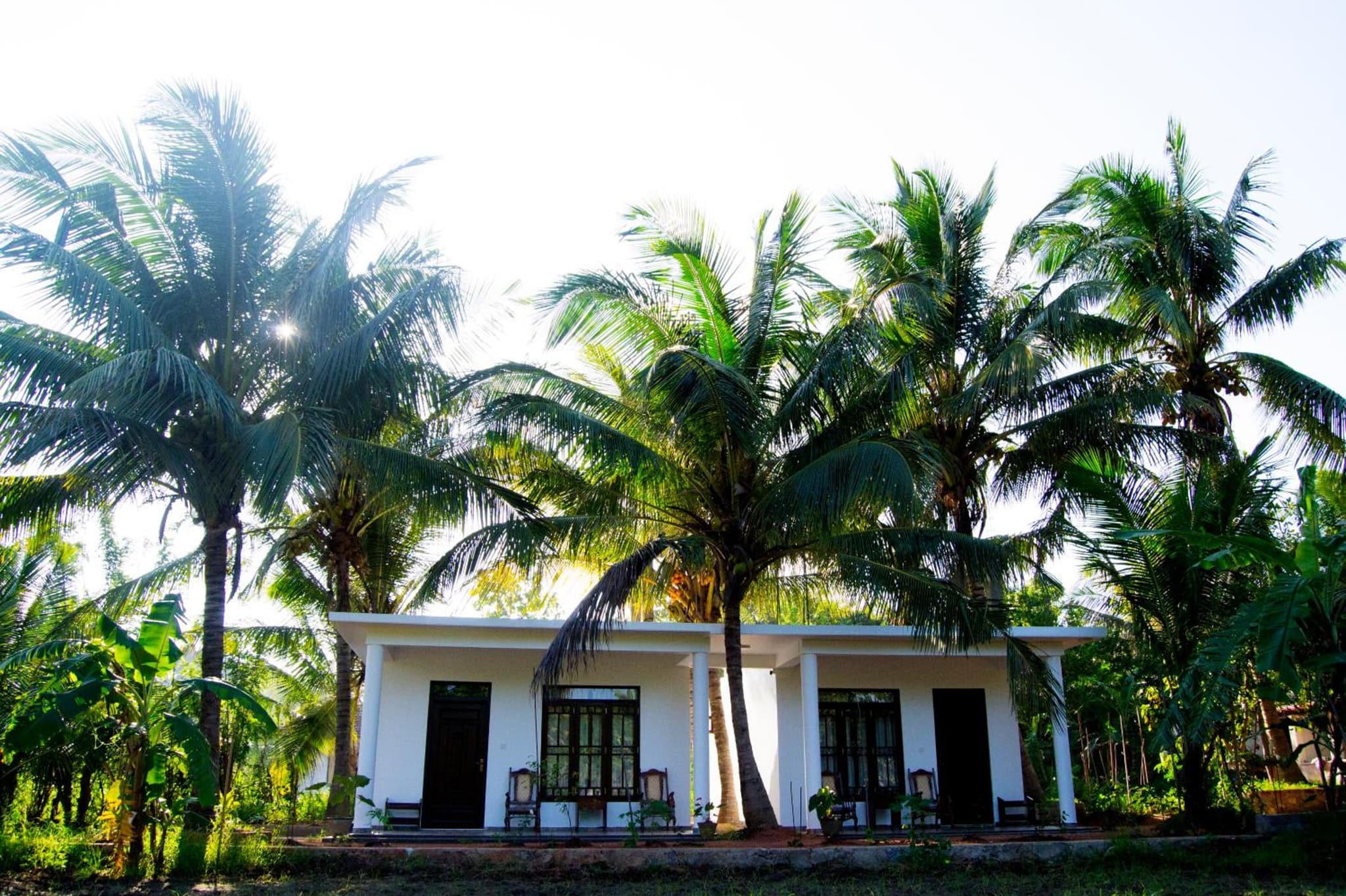 Shady mango villa photo 7