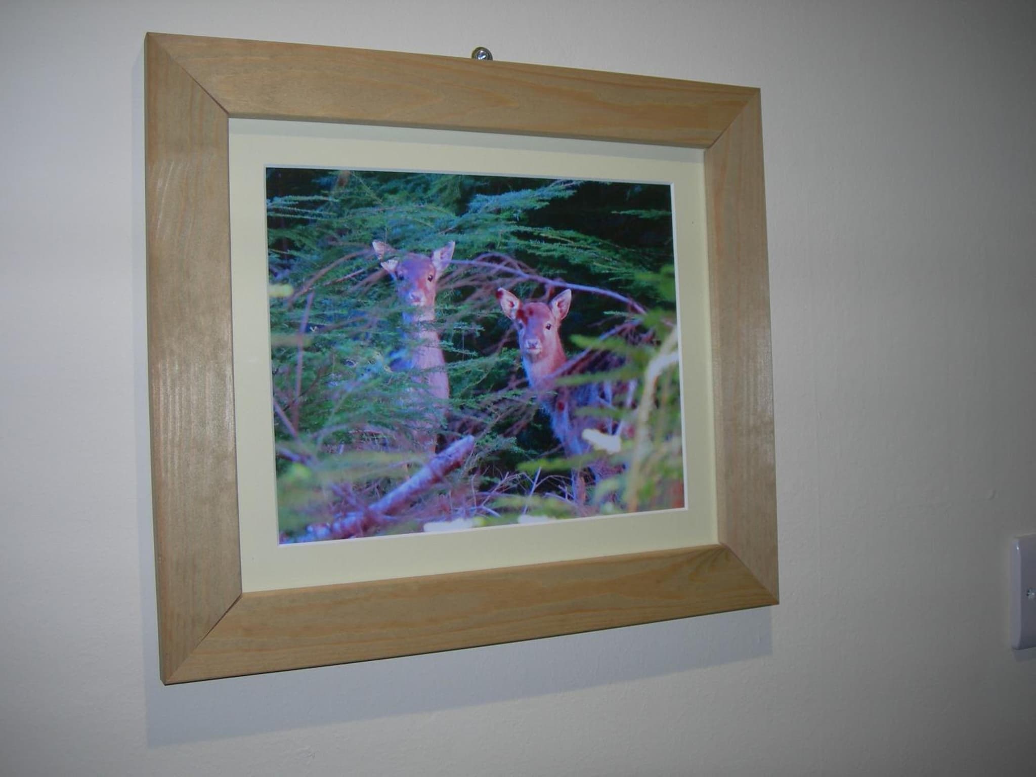The Swan Hotel photo 6