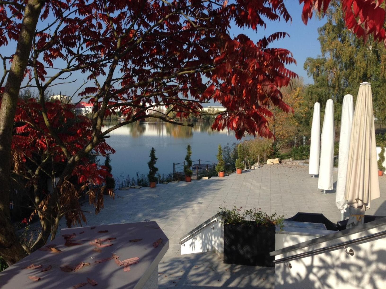 Seehotel Forst photo 3