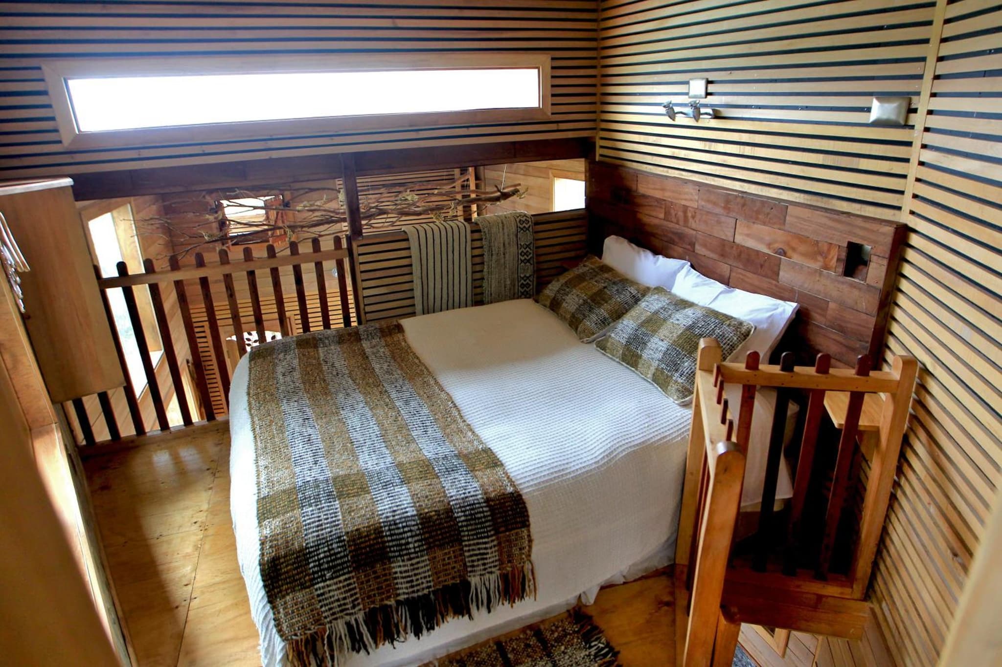 La Casa Del Árbol De Chiloé photo 8