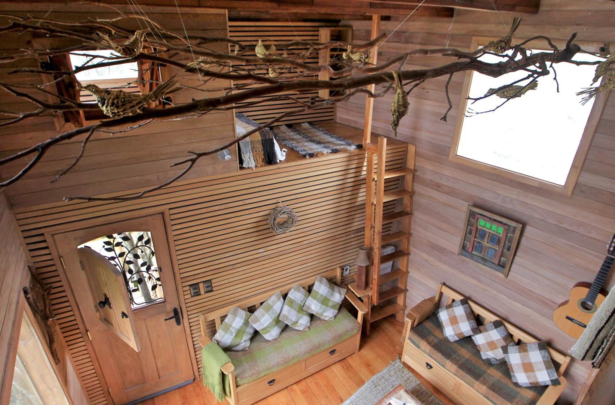 La Casa Del Árbol De Chiloé photo 6