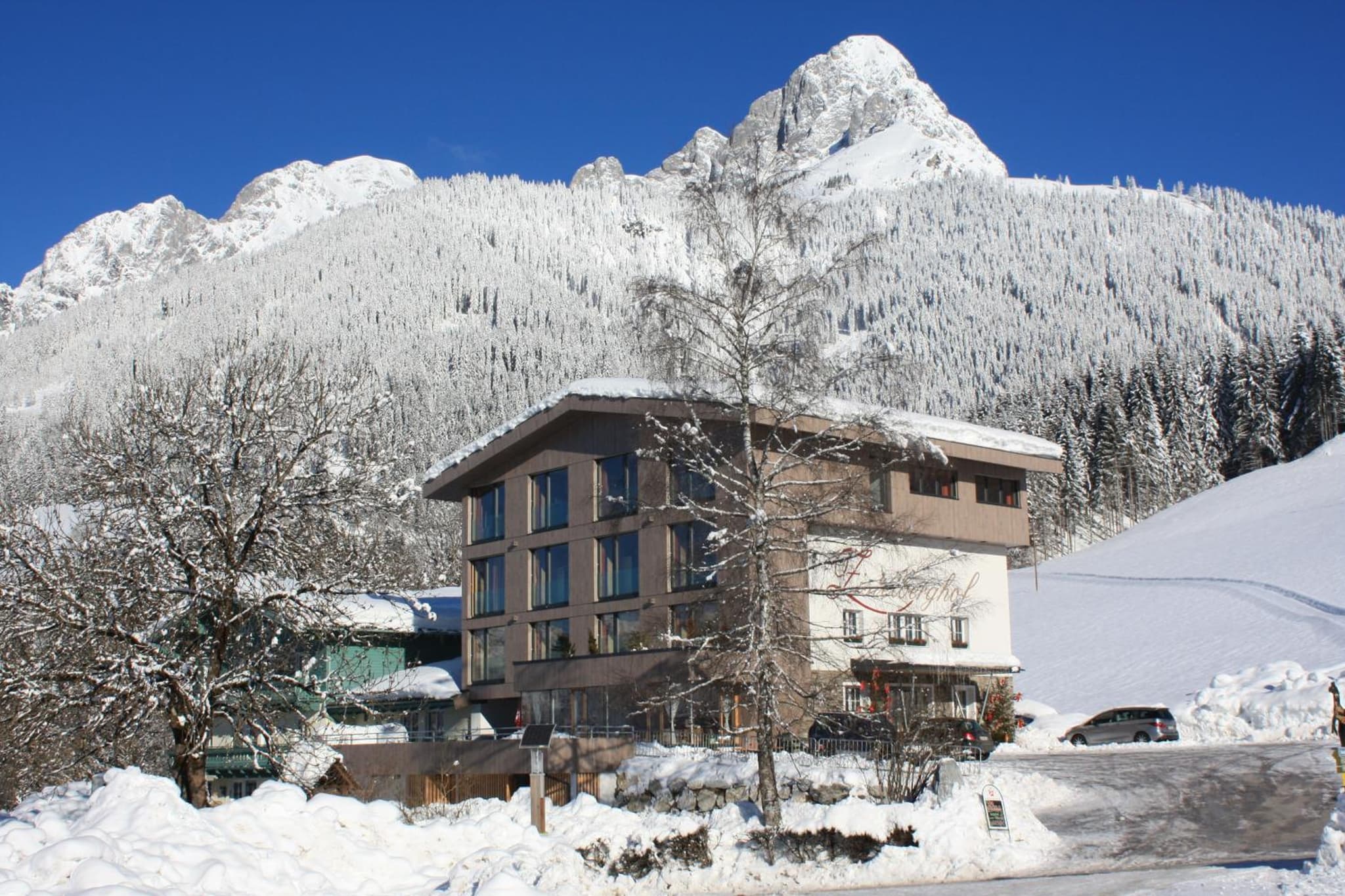Zistelberghof photo 7