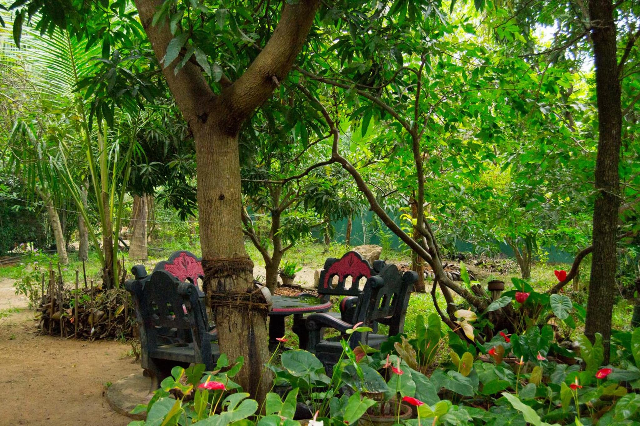Shady mango villa photo 9