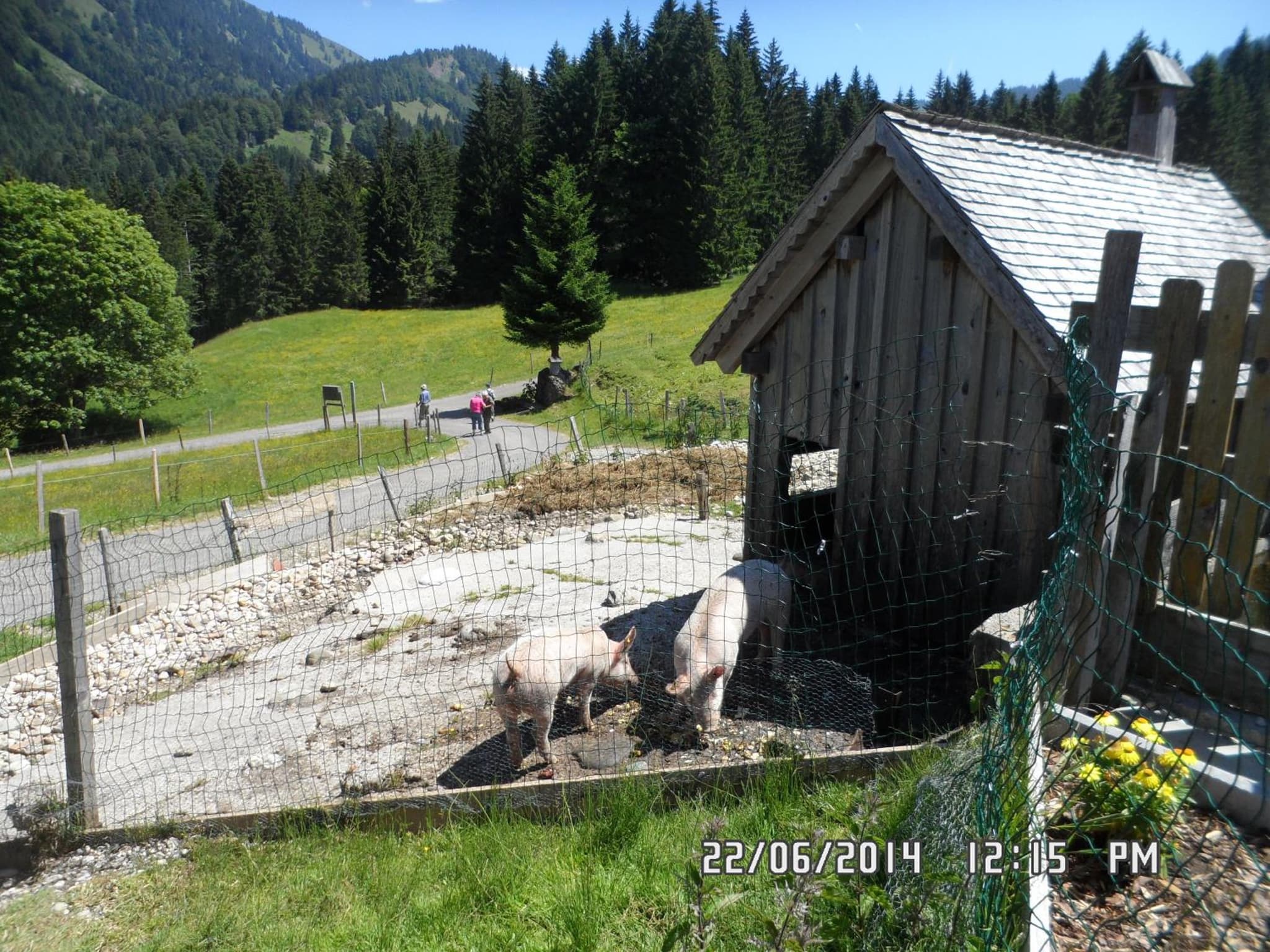 Jausenstation Neuschwand photo 2