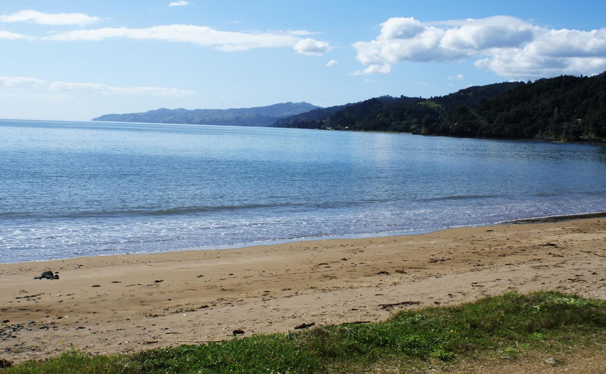 Te Puru Beach Lodge photo 8