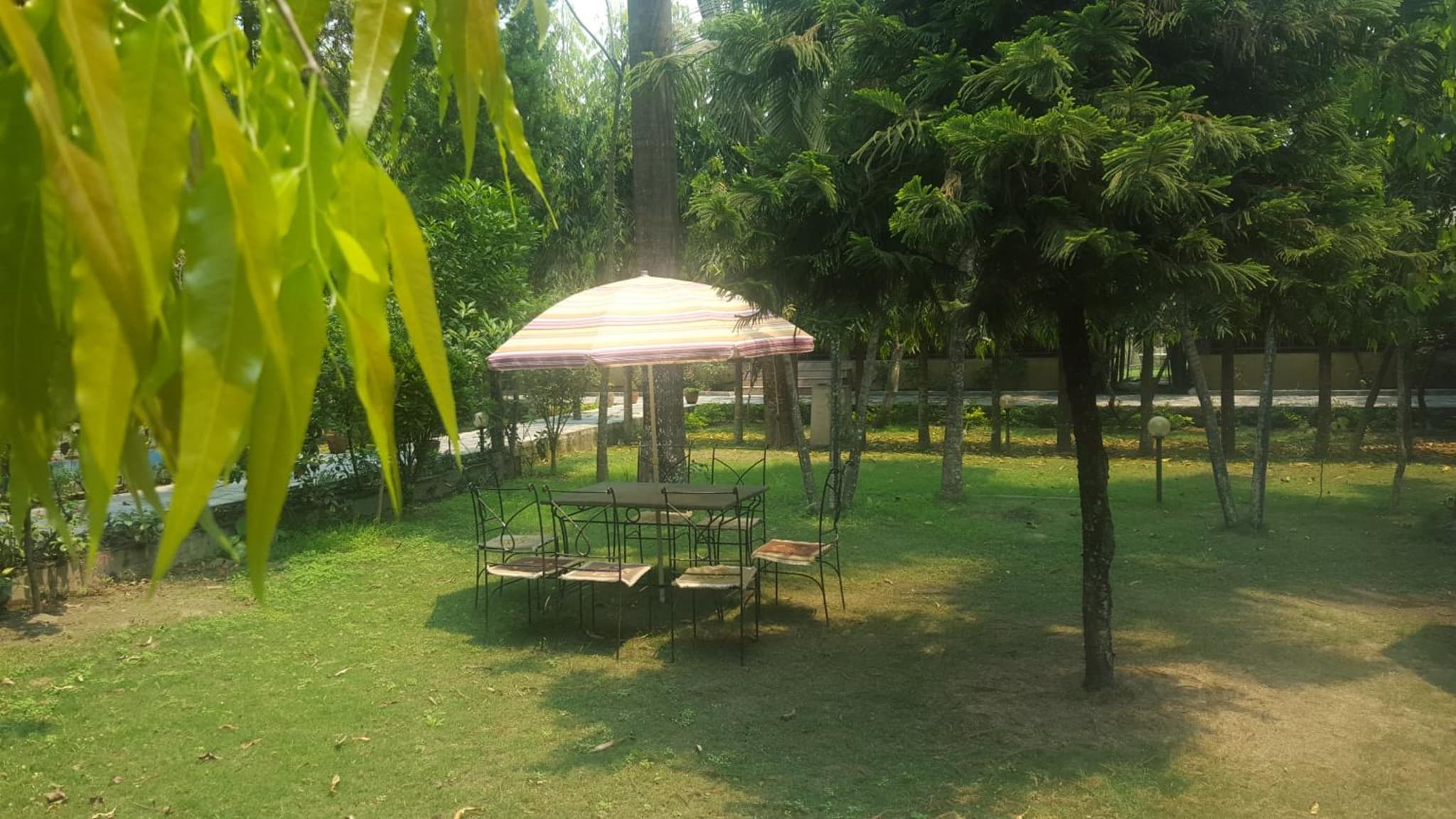 Jungle Safari Resort photo 9