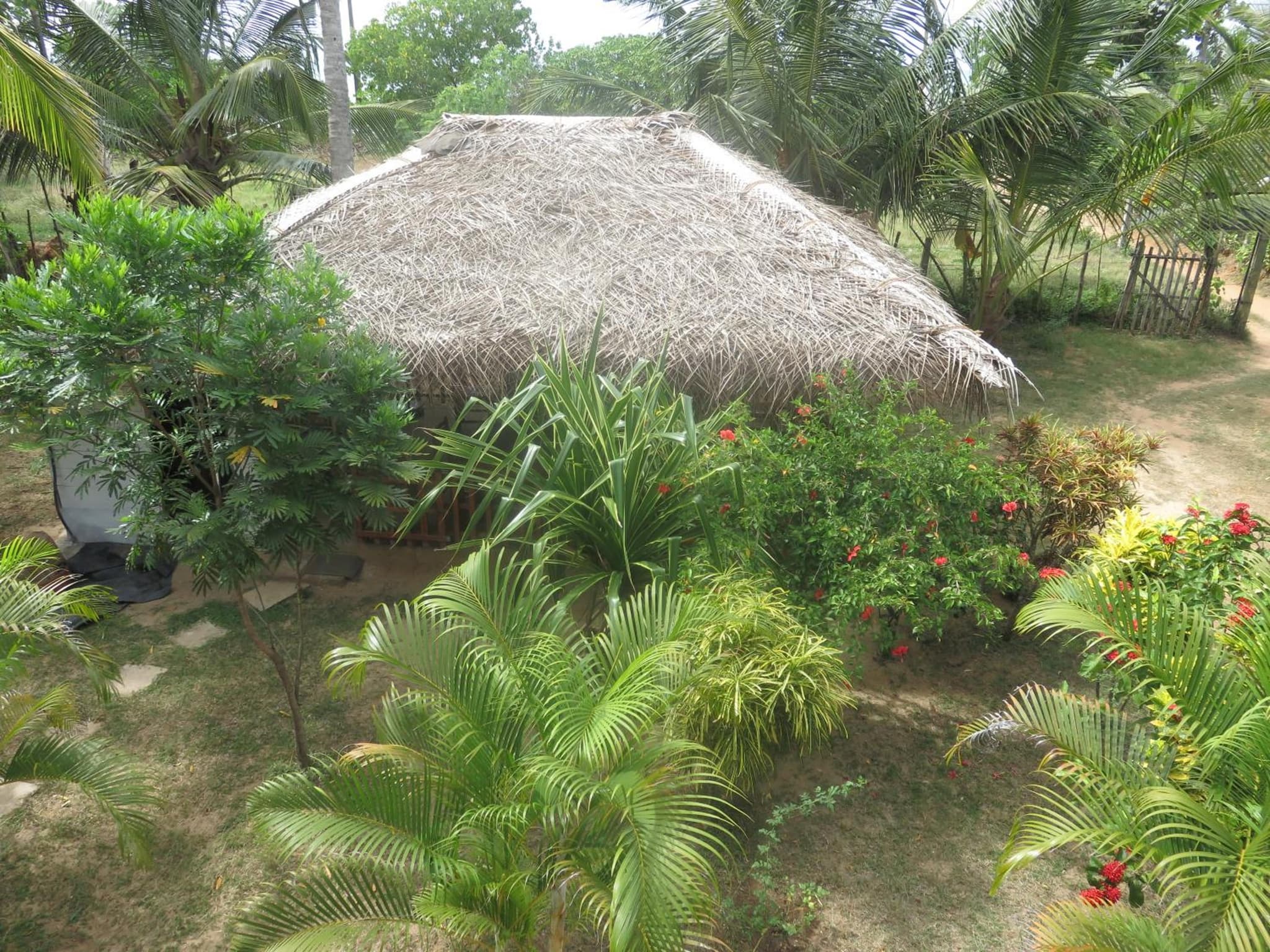 Beach Lagoon Guesthouse photo 8
