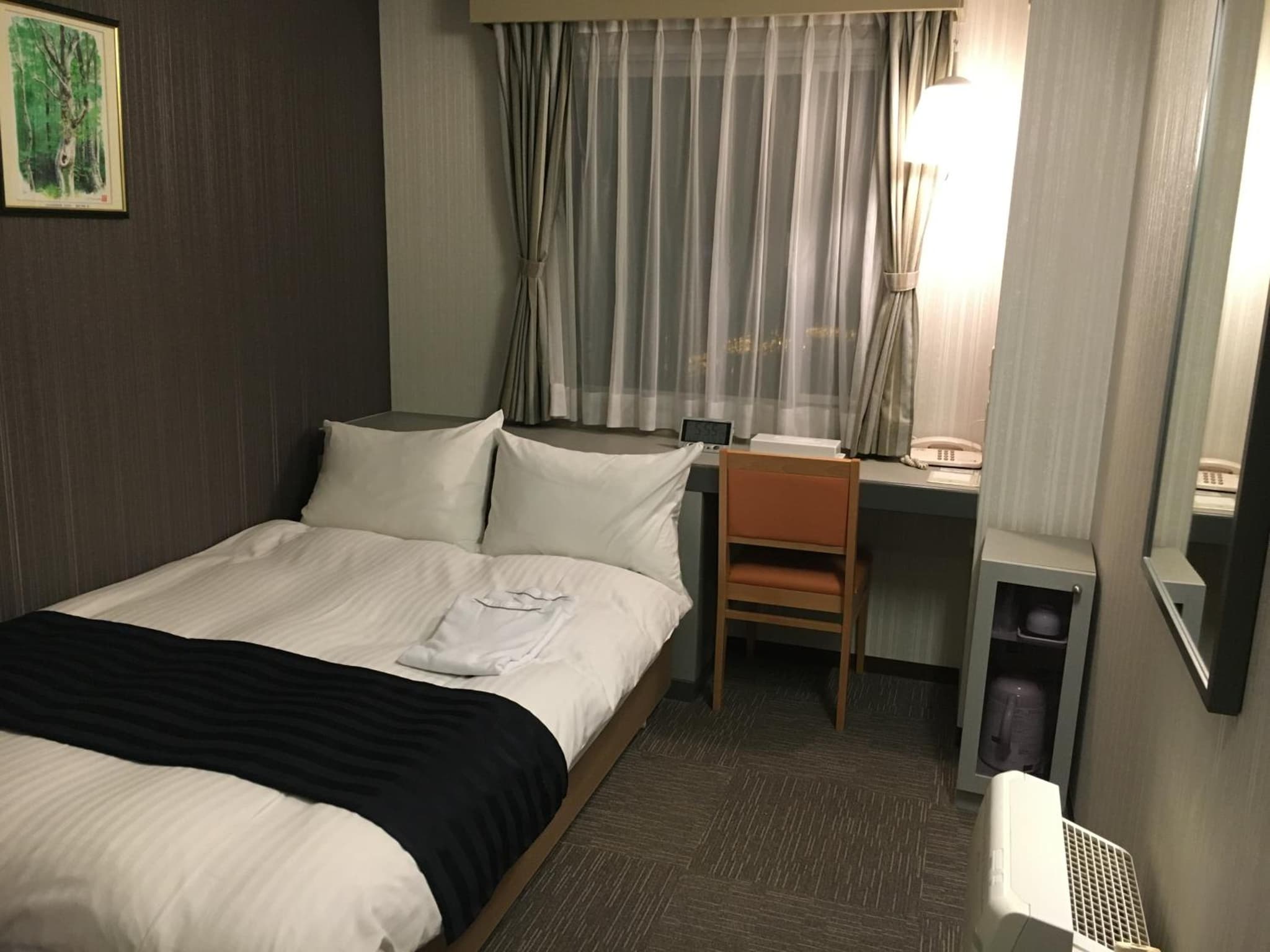 Tottori City Hotel photo 8