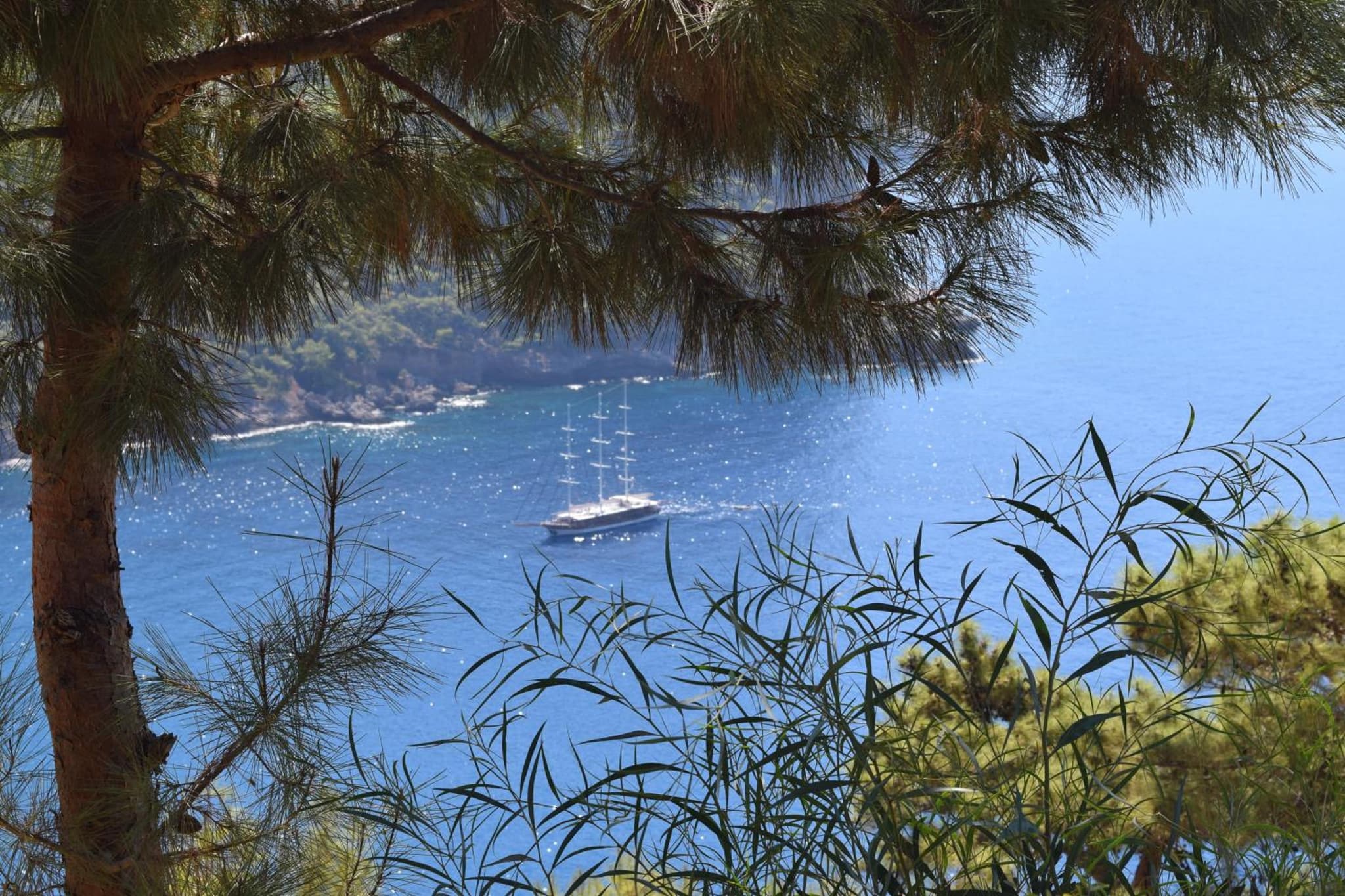 Kabak Avalon Bungalows photo 4
