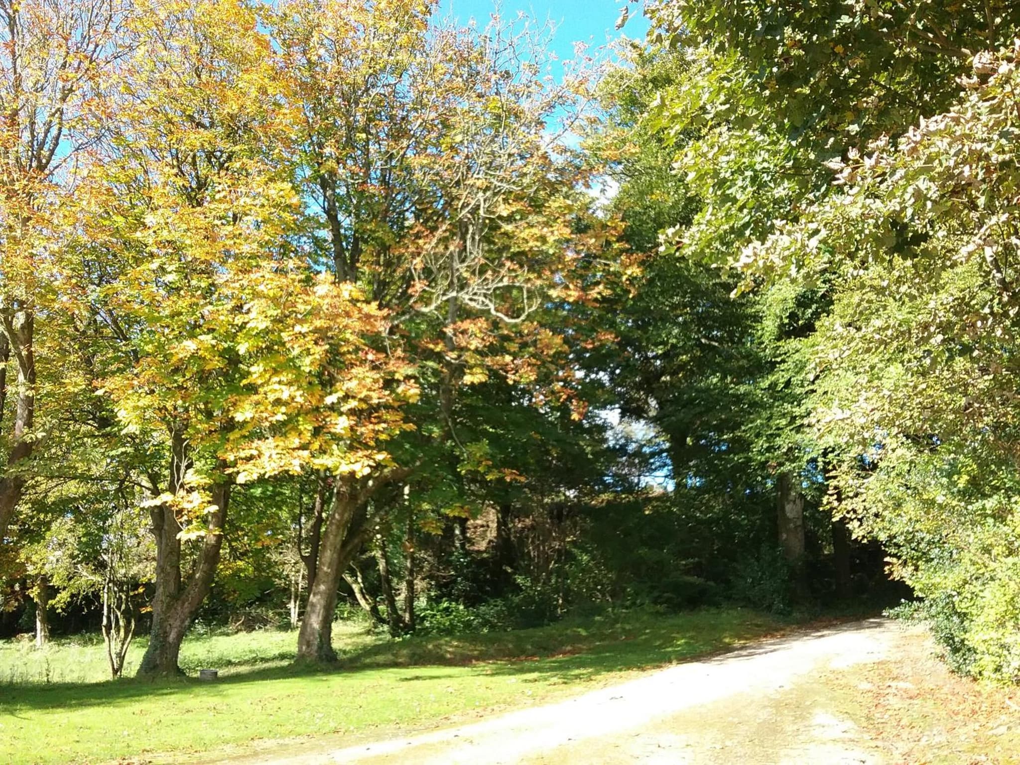 Willowfarmhouse photo 3