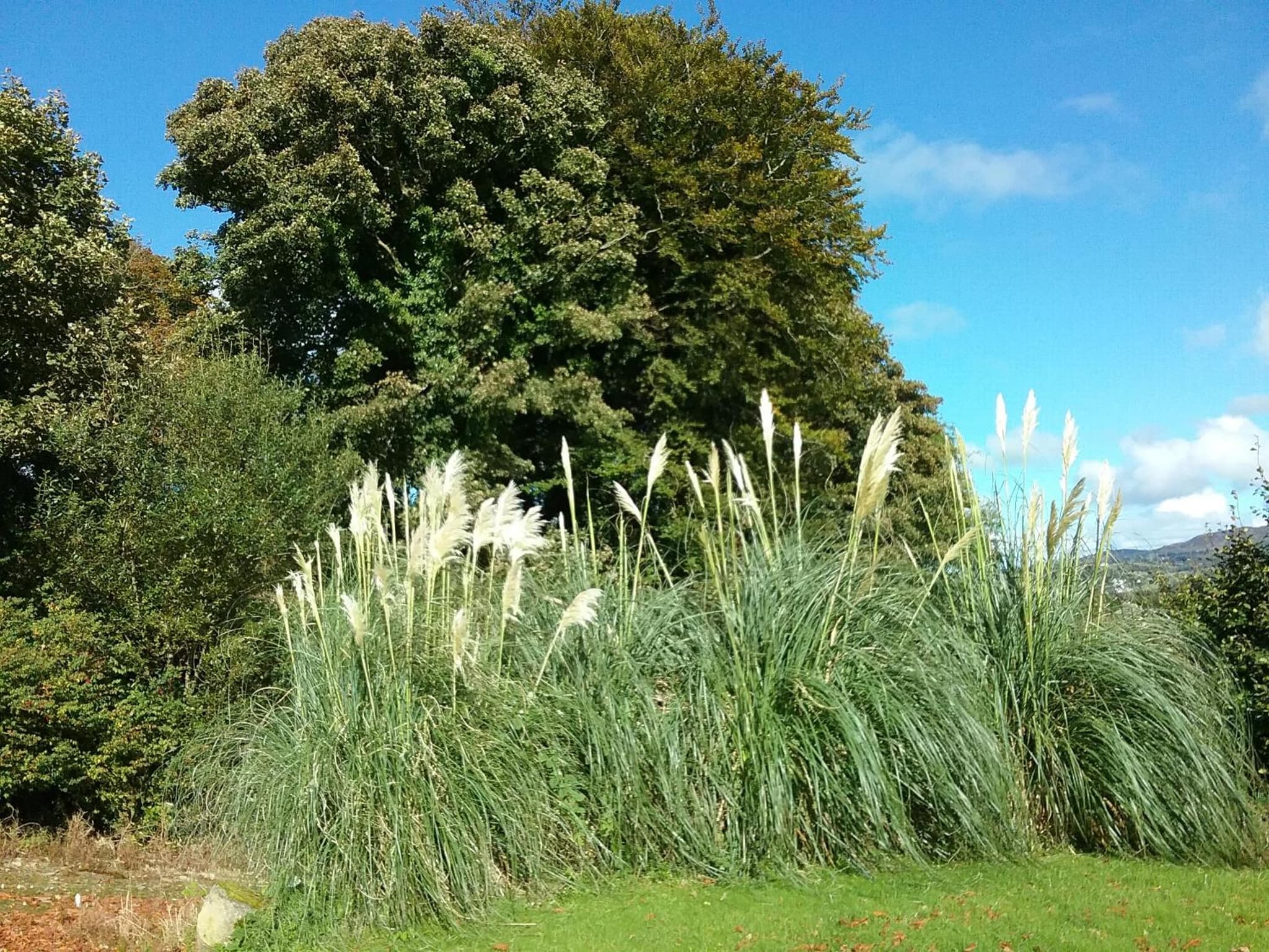 Willowfarmhouse photo 5
