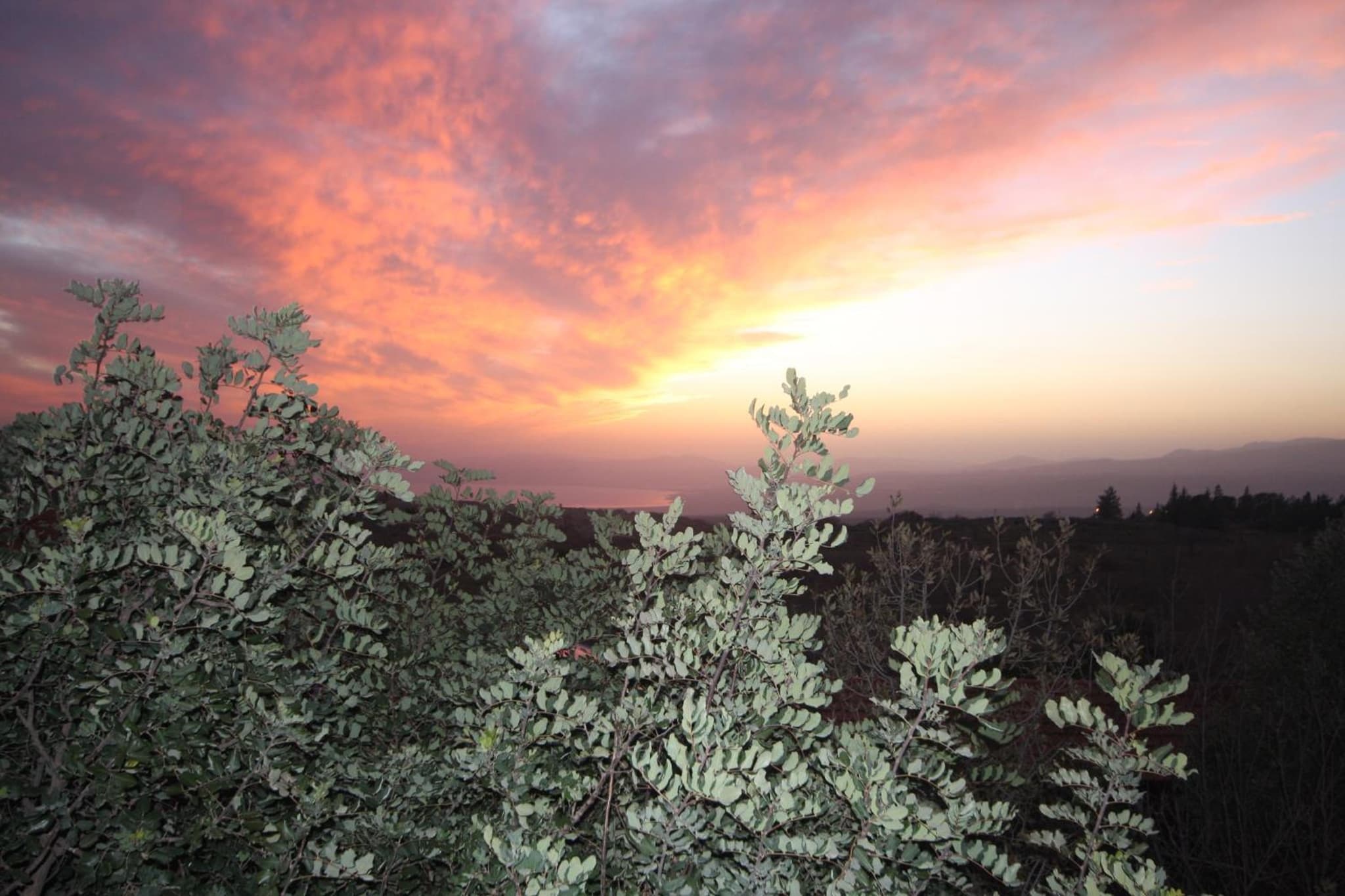 סתיו בגולן photo 8