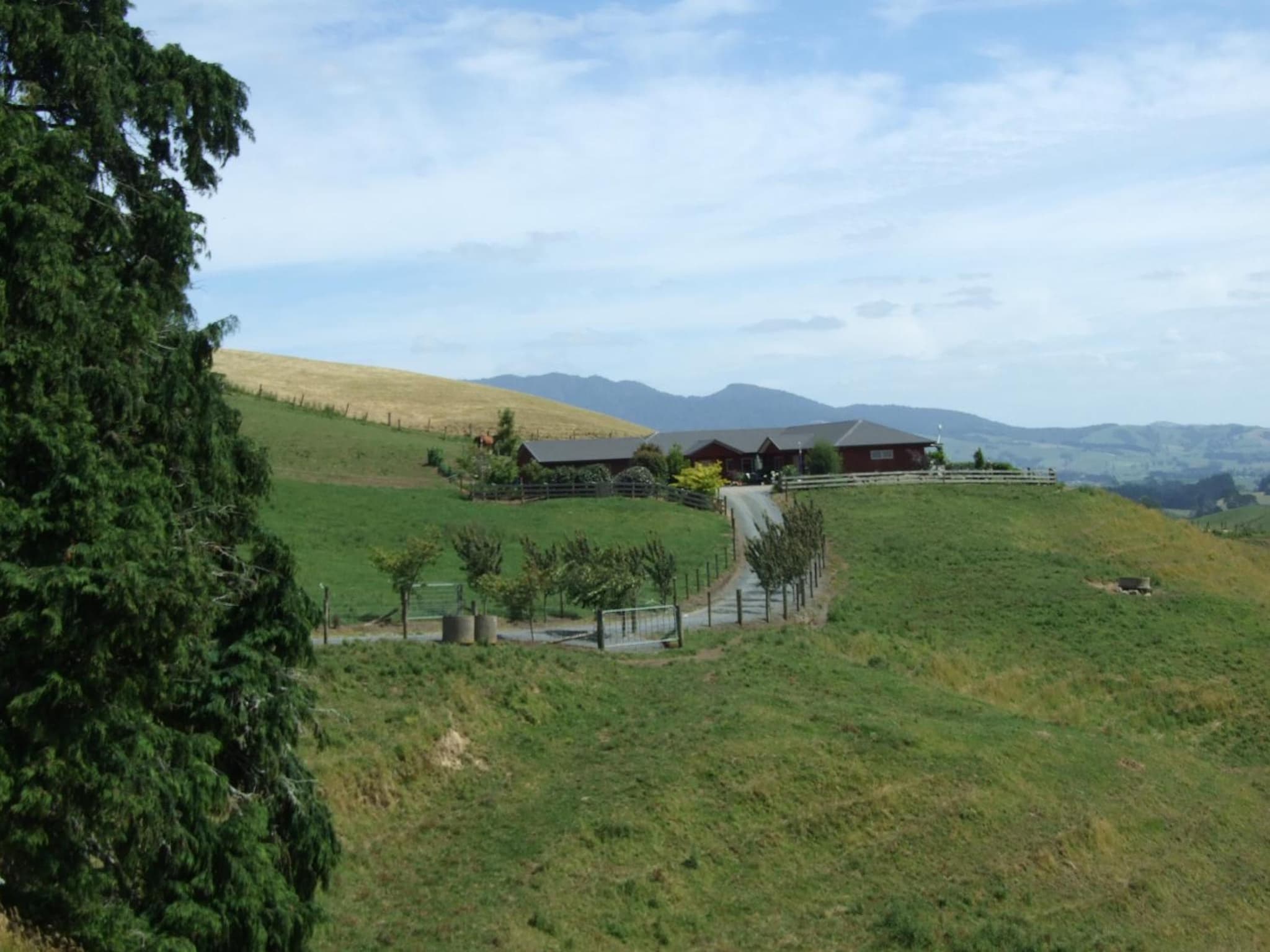 Kauri Lodge Karapiro photo 8