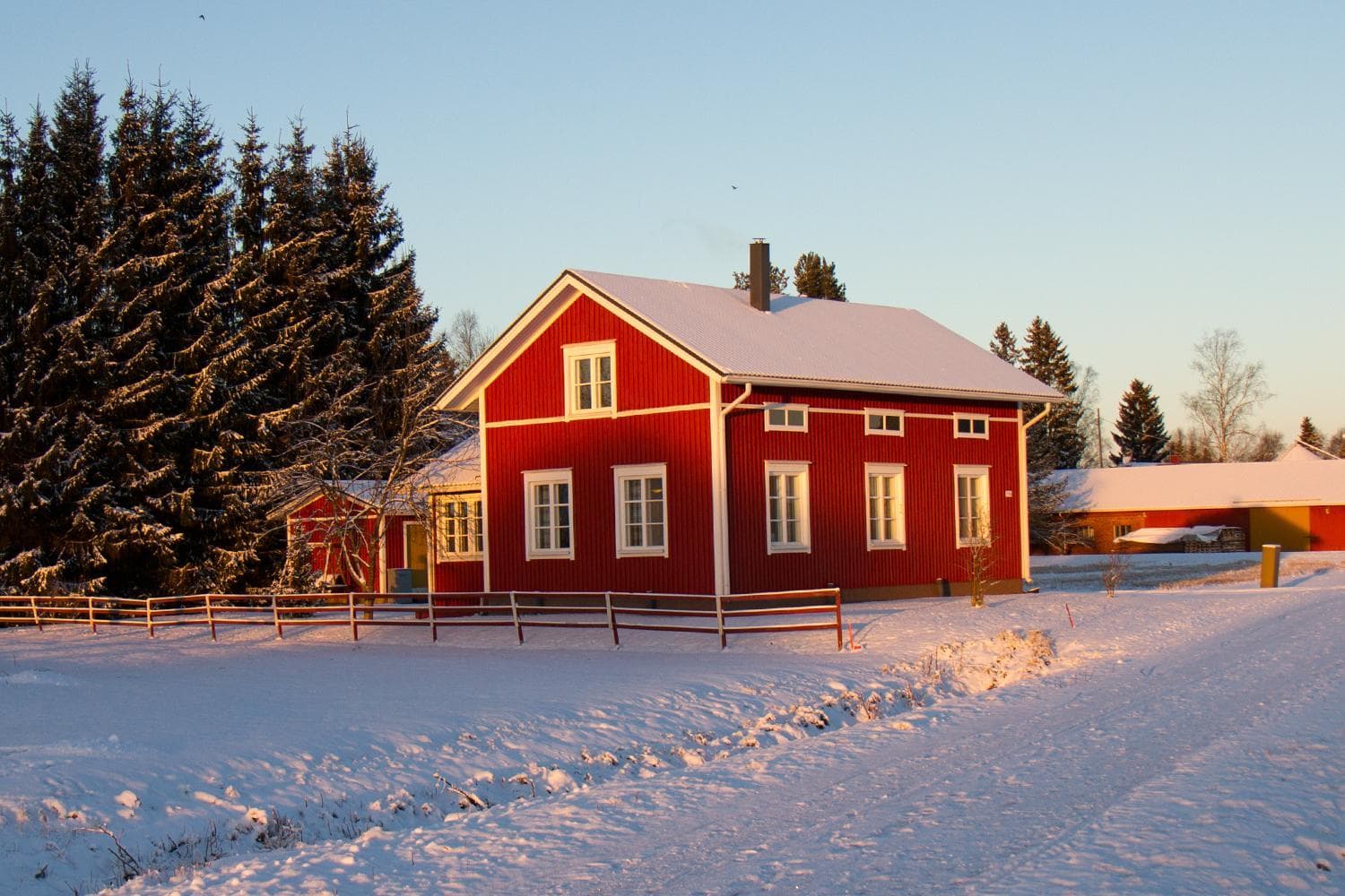 Erkin Haussi photo 9