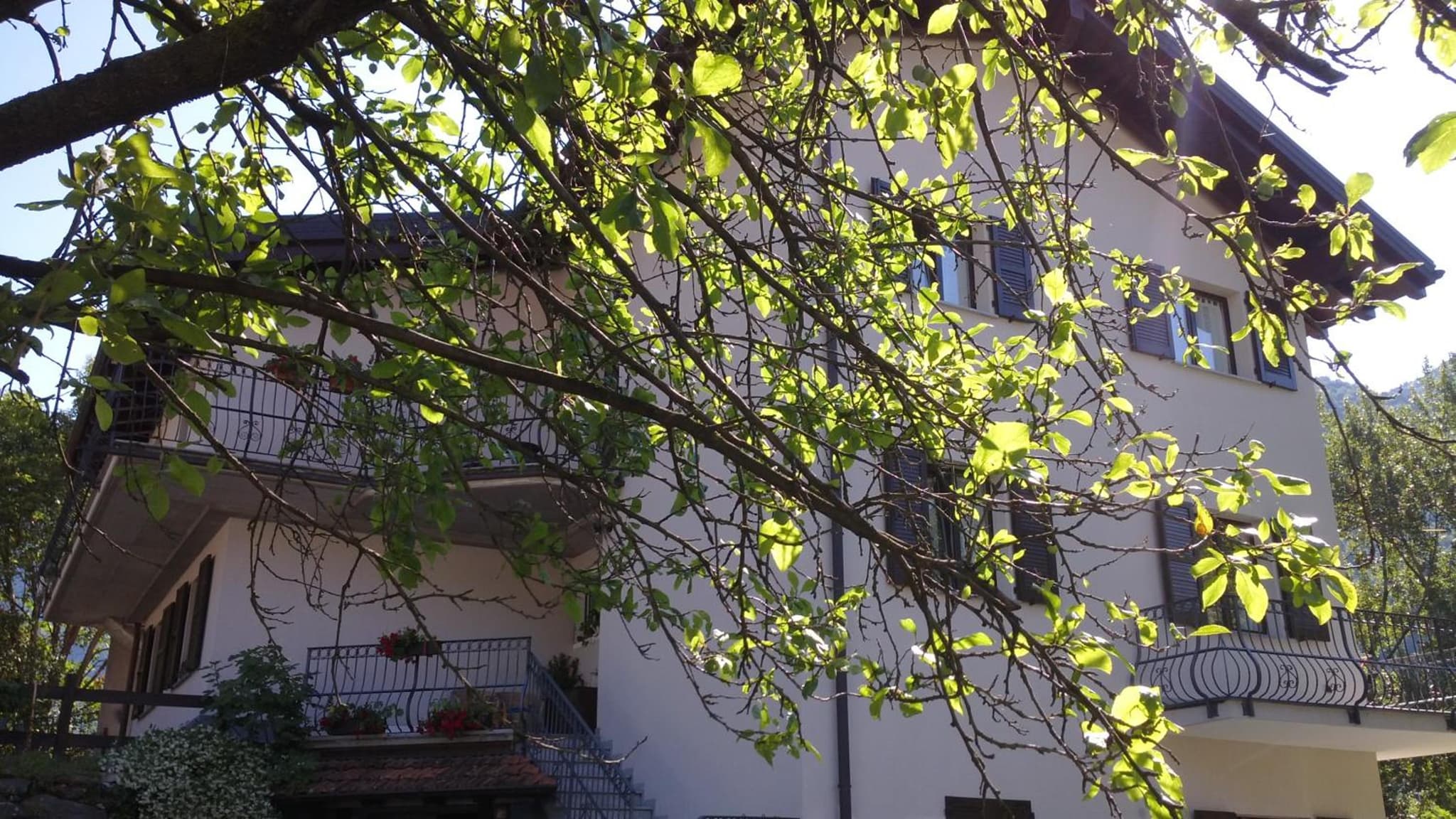 B&B I Pioppi photo 8