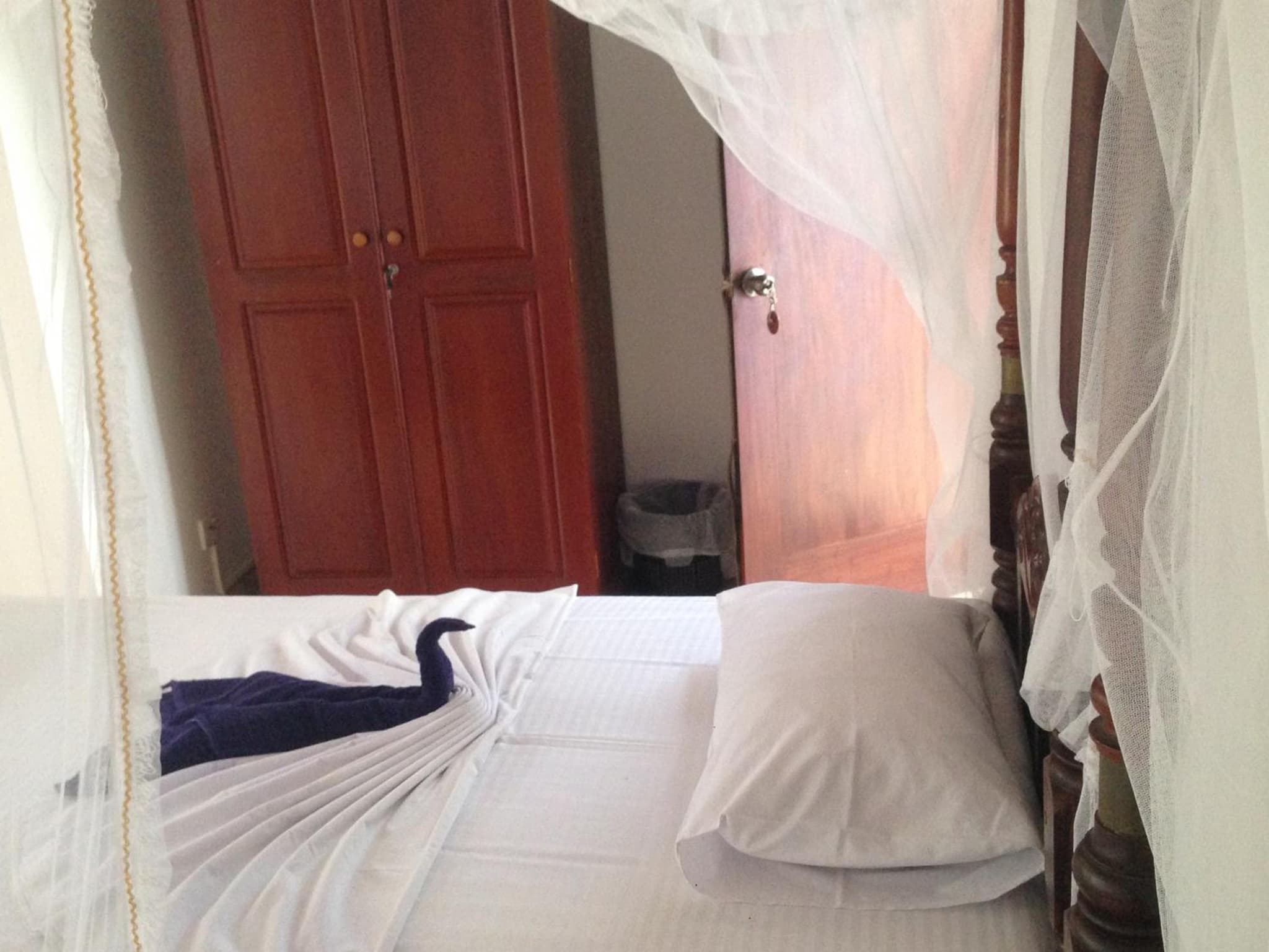 Flamingo Guest house photo 8