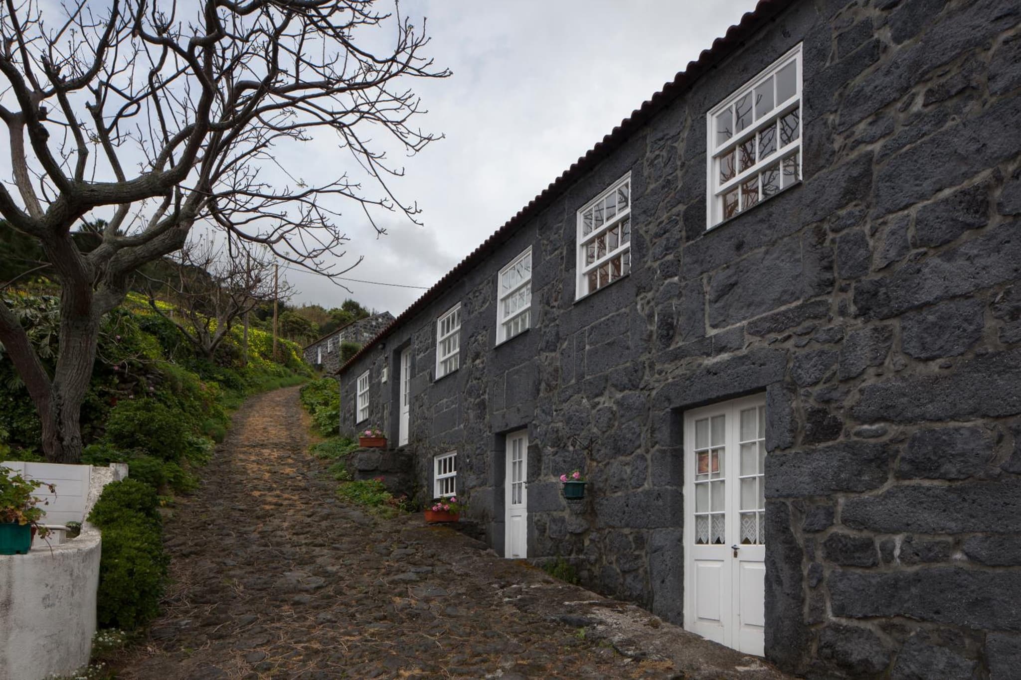 Casa do Zé - AL photo 4