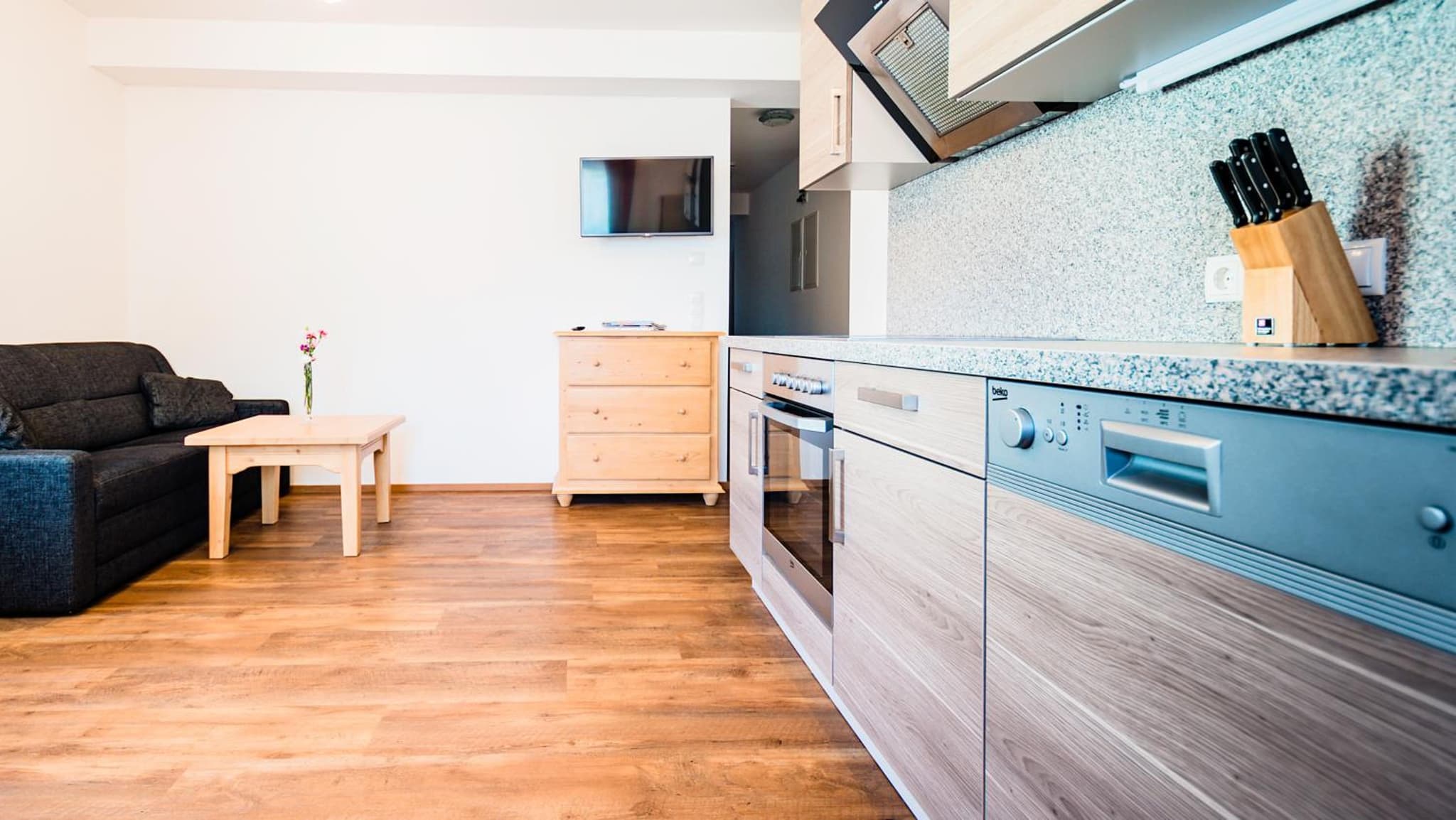Cityhouse Apartments Schladming photo 6