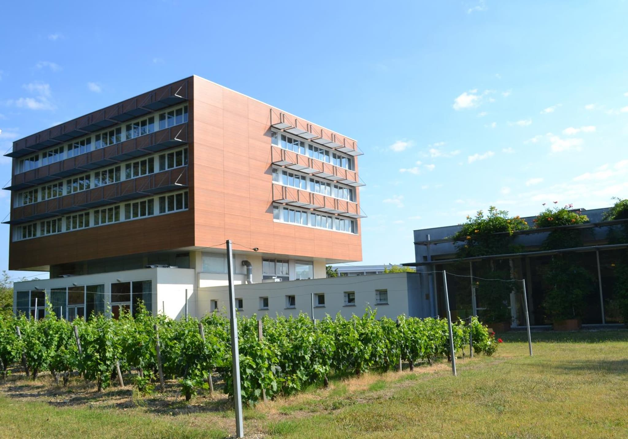 Hôtel de Guyenne photo 9