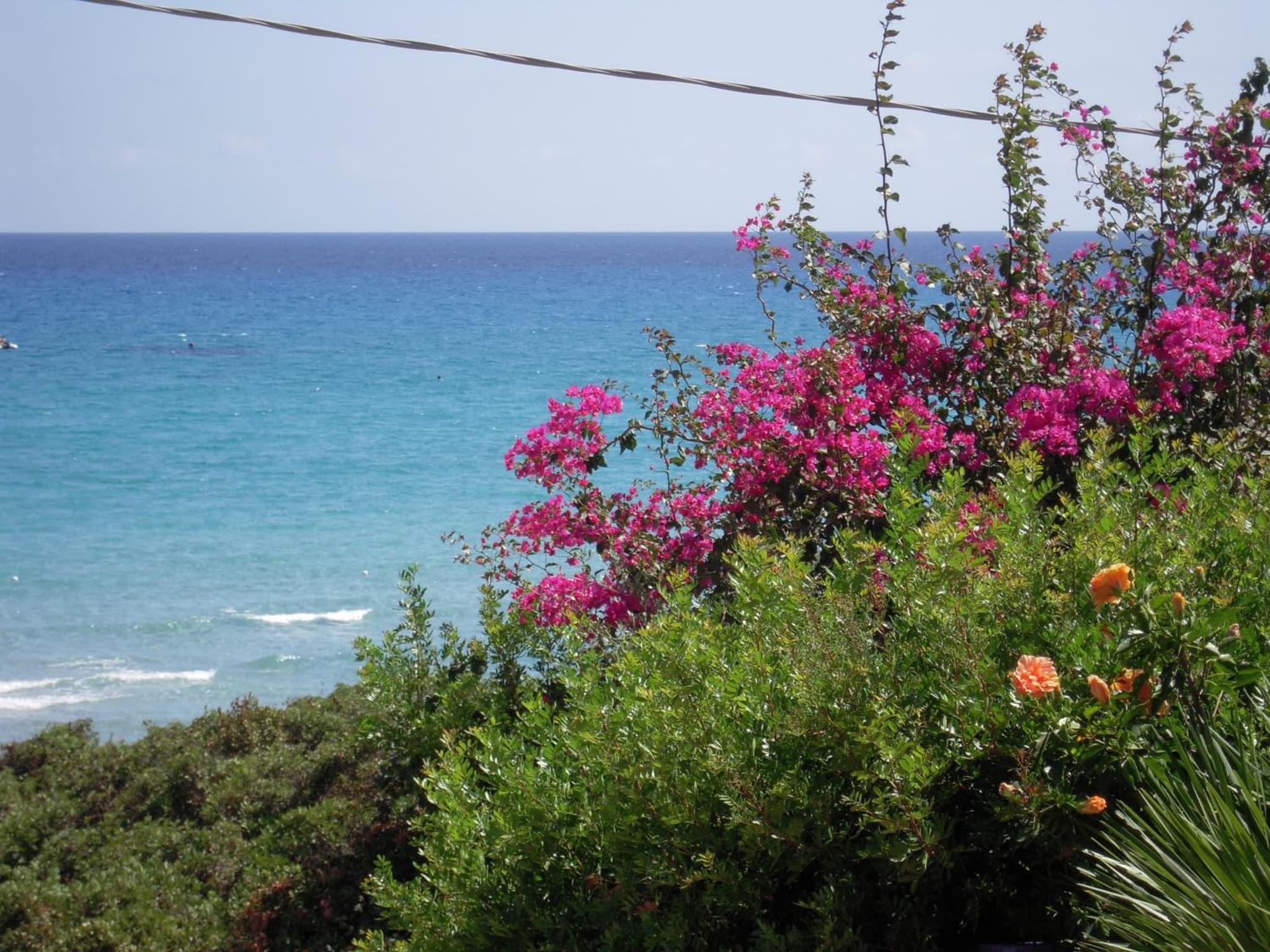 Hotel Simius Playa photo 5