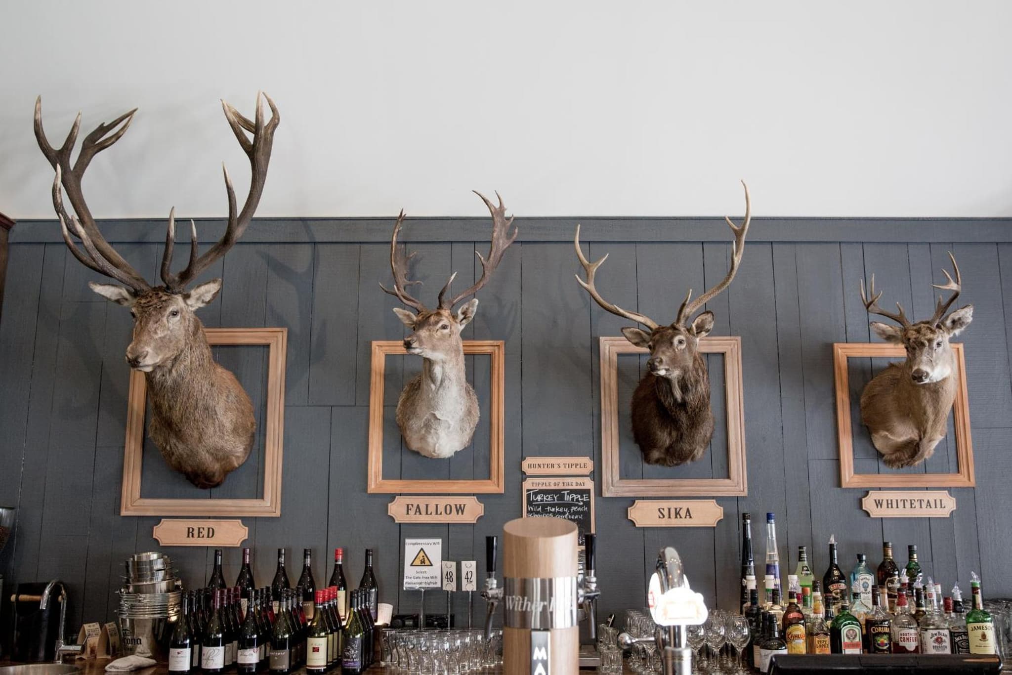 The Harvest Hotel photo 5