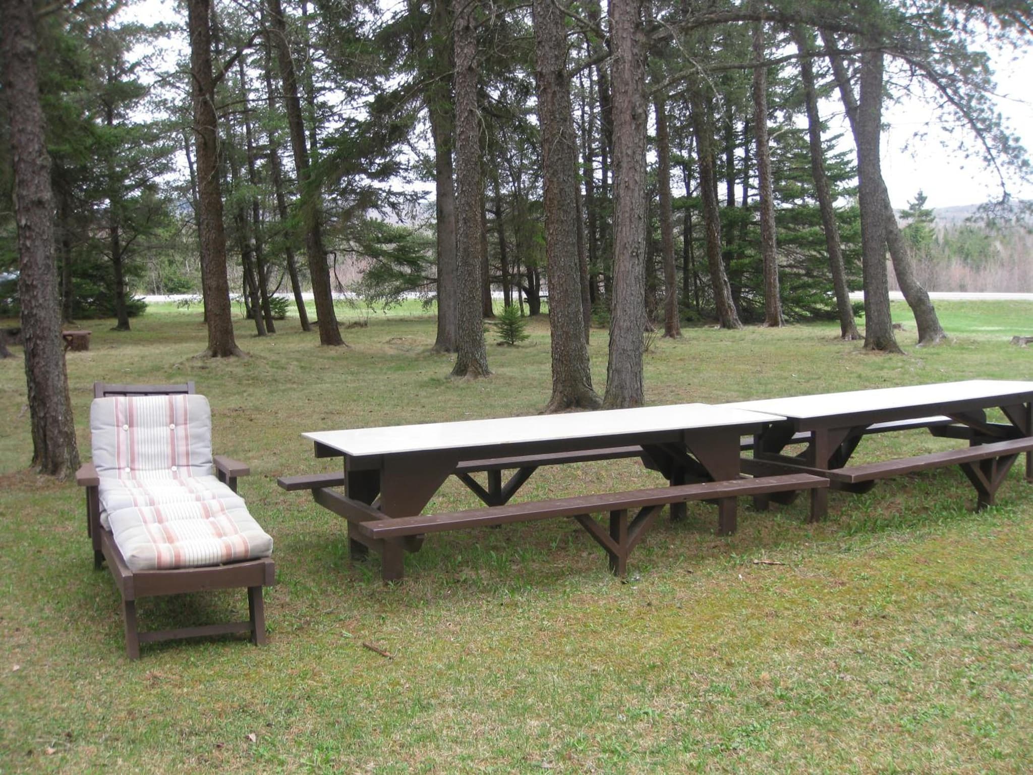 Pinecone Motel photo 5