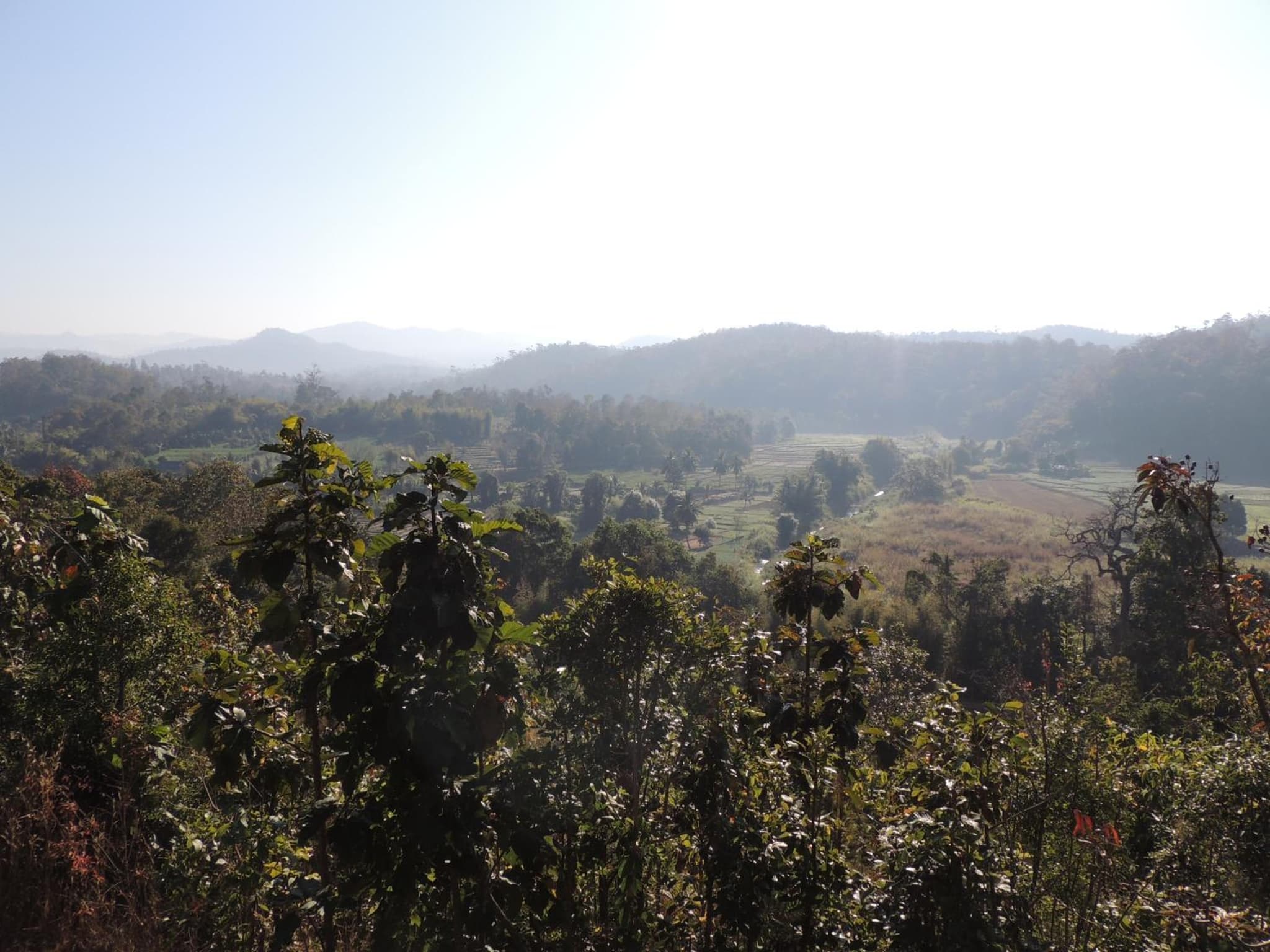 Khunyuam Resort photo 4
