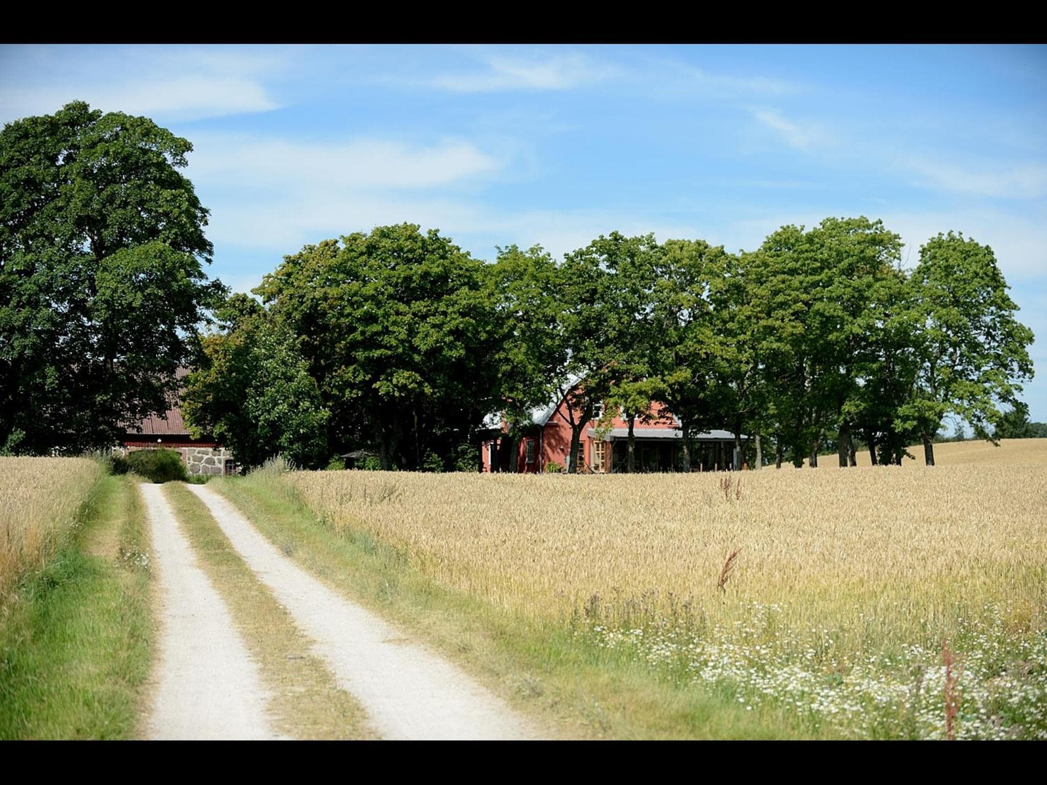 Stora Topphem photo 8