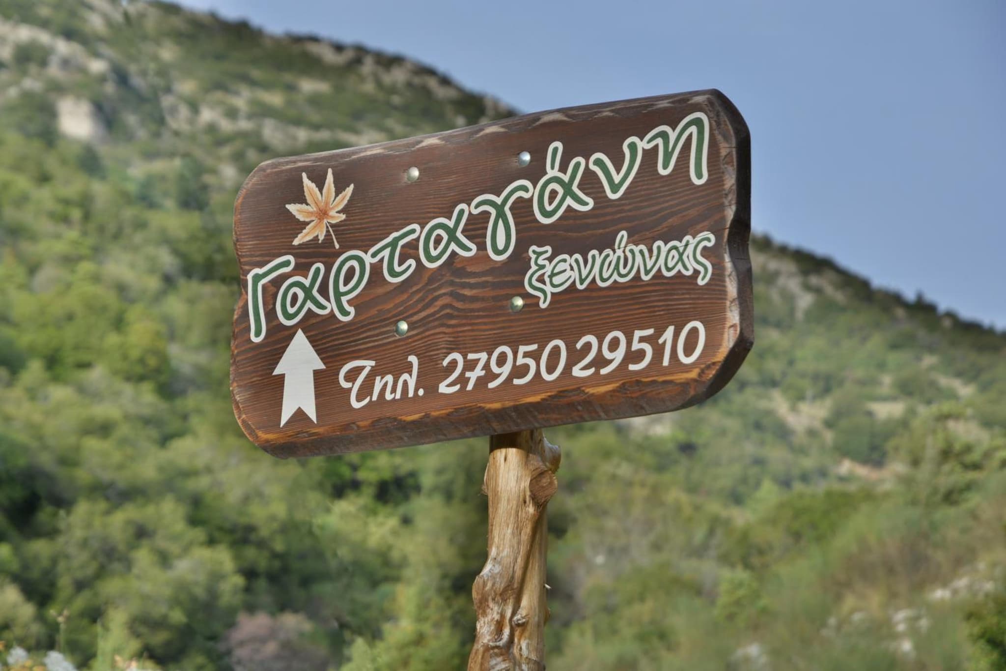 Gartagani Guest House photo 8