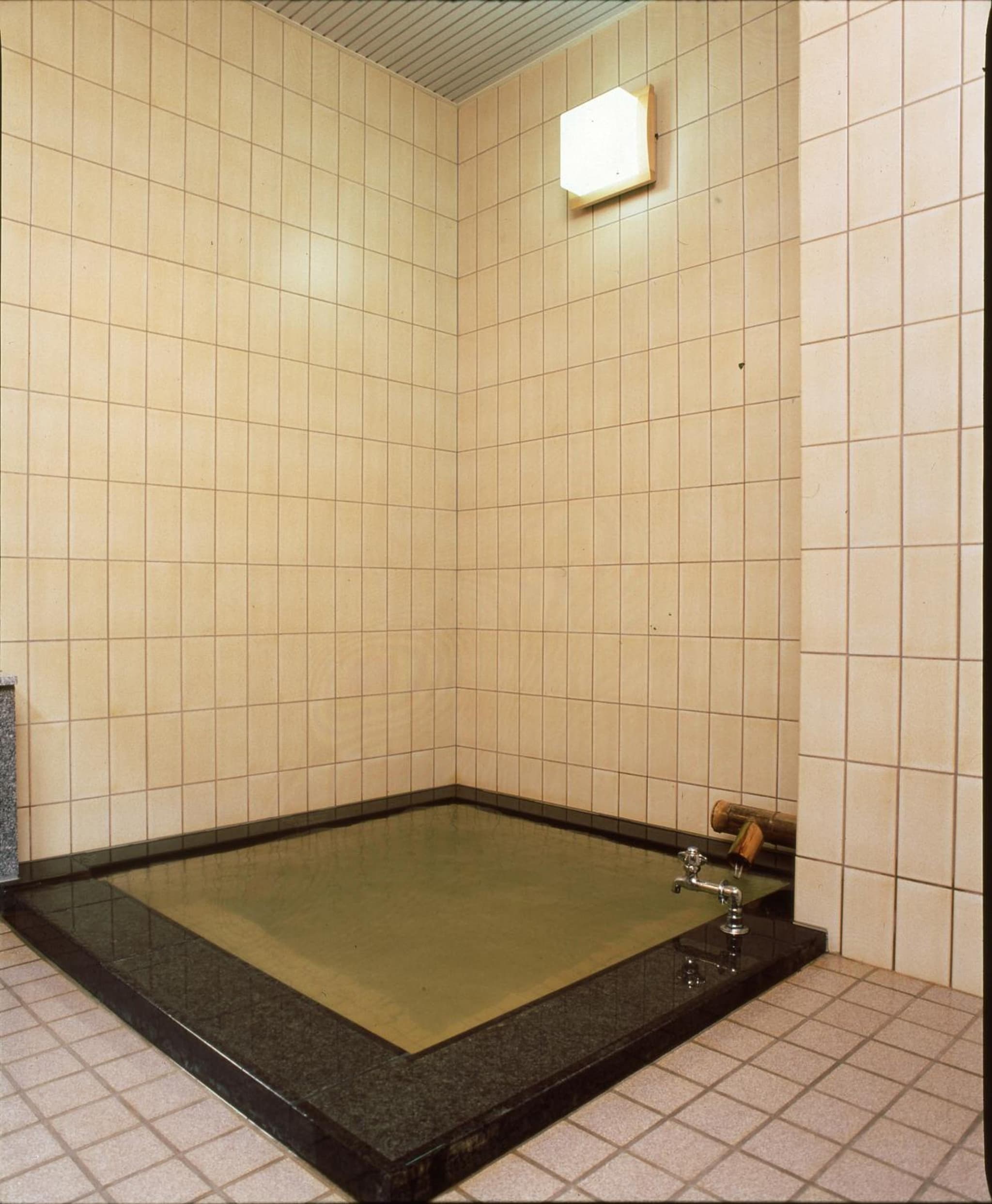 Shibu Hotel photo 4