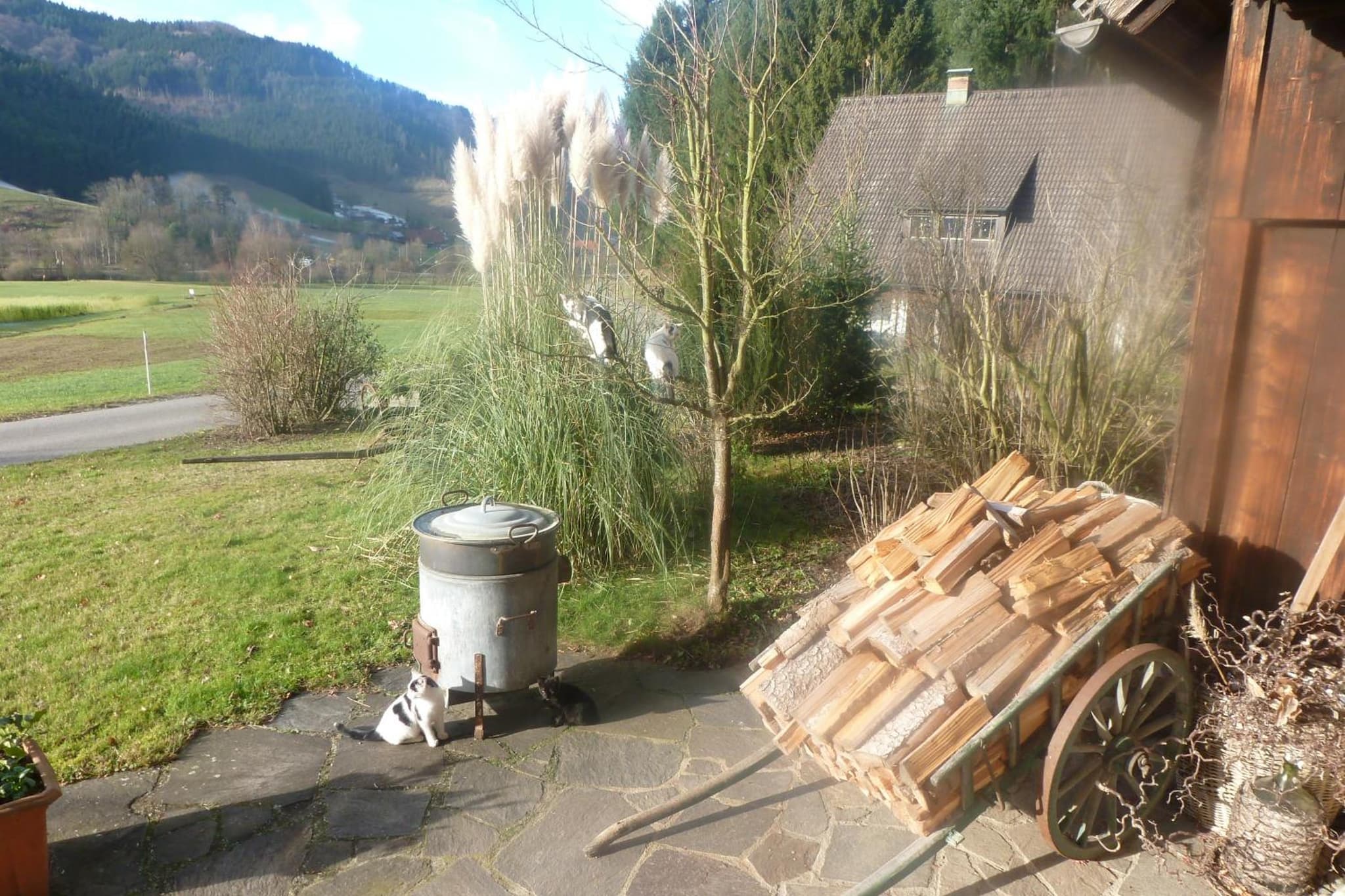 Rommelehof photo 4