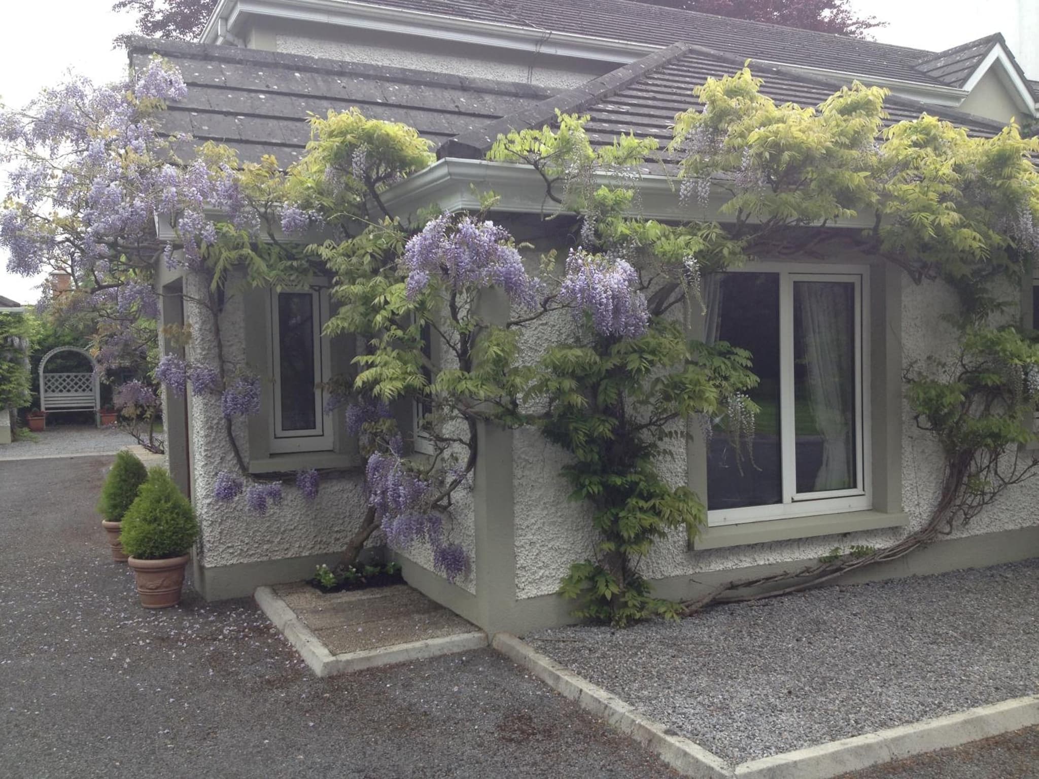 Sea Dew B&B photo 3