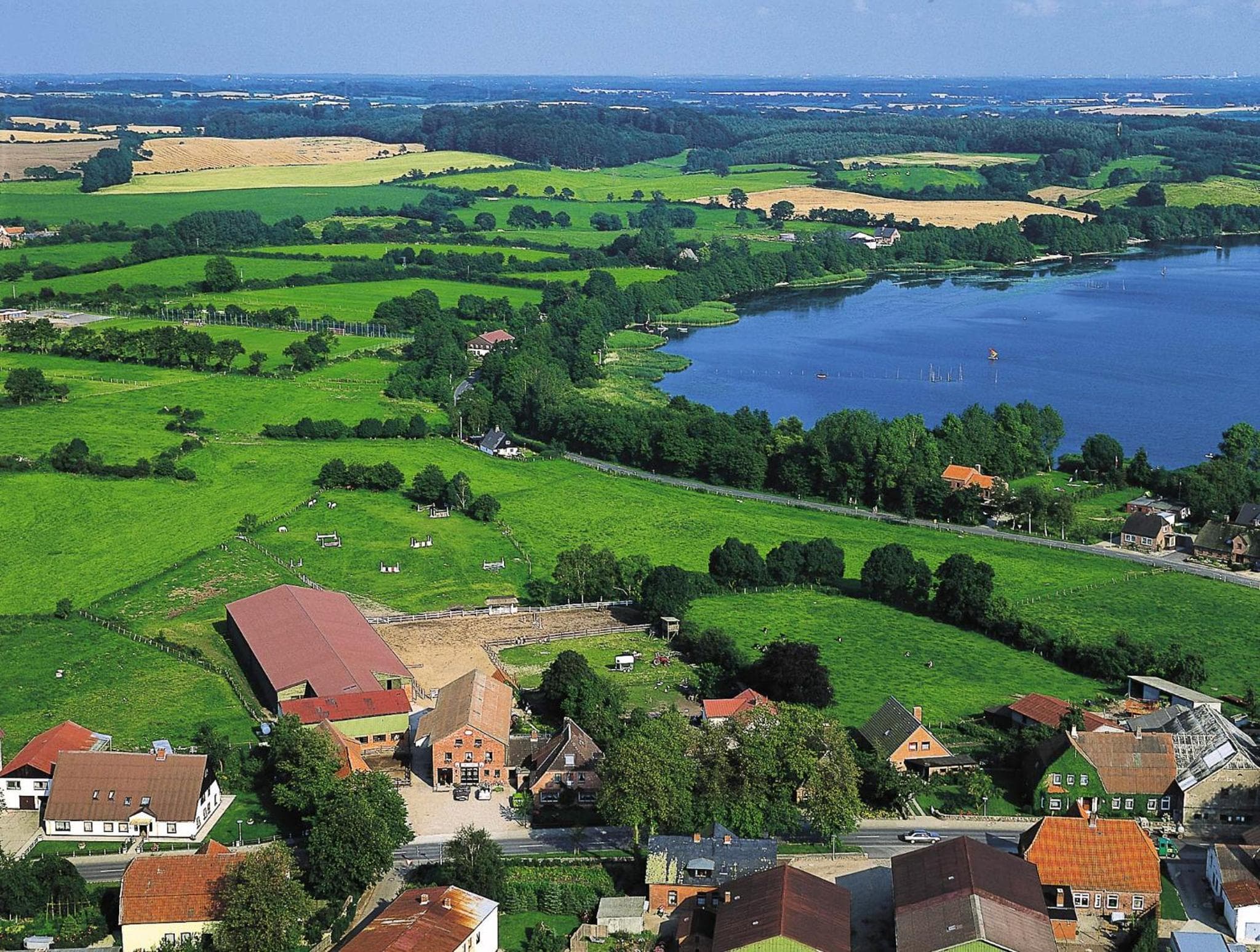 Ponyhof Naeve am Wittensee photo 5
