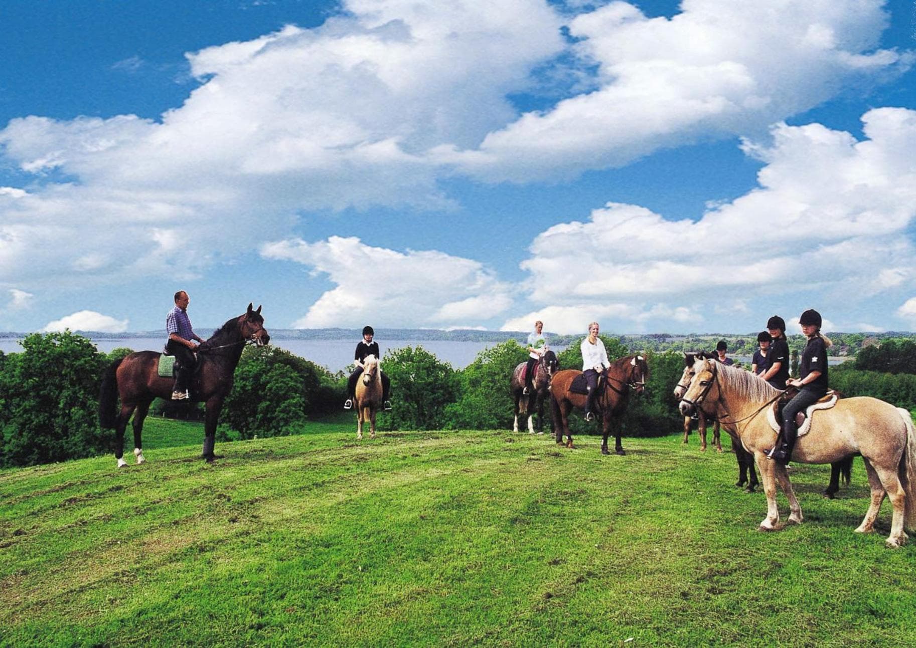 Ponyhof Naeve am Wittensee photo 2